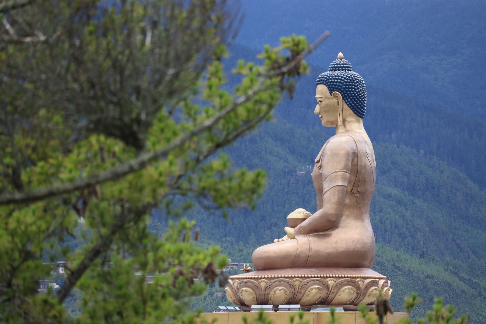 The colossal 54-meter bronze Buddha Dordenma statue seated above the forested ridge overlooking Thimphu Valley