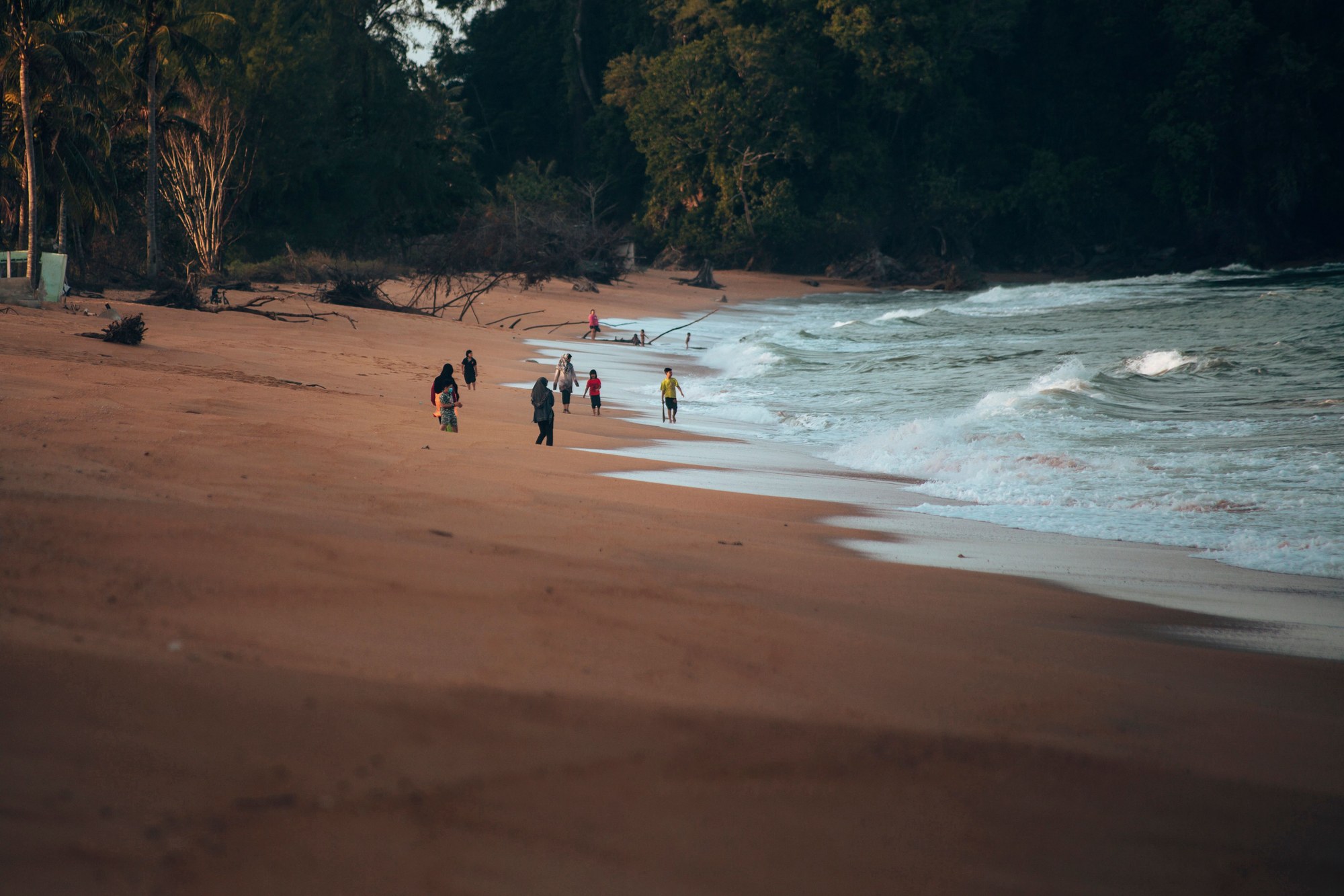 Sandy beach lined by tropical forest trees with Atlantic ocean waves rolling onto the shore