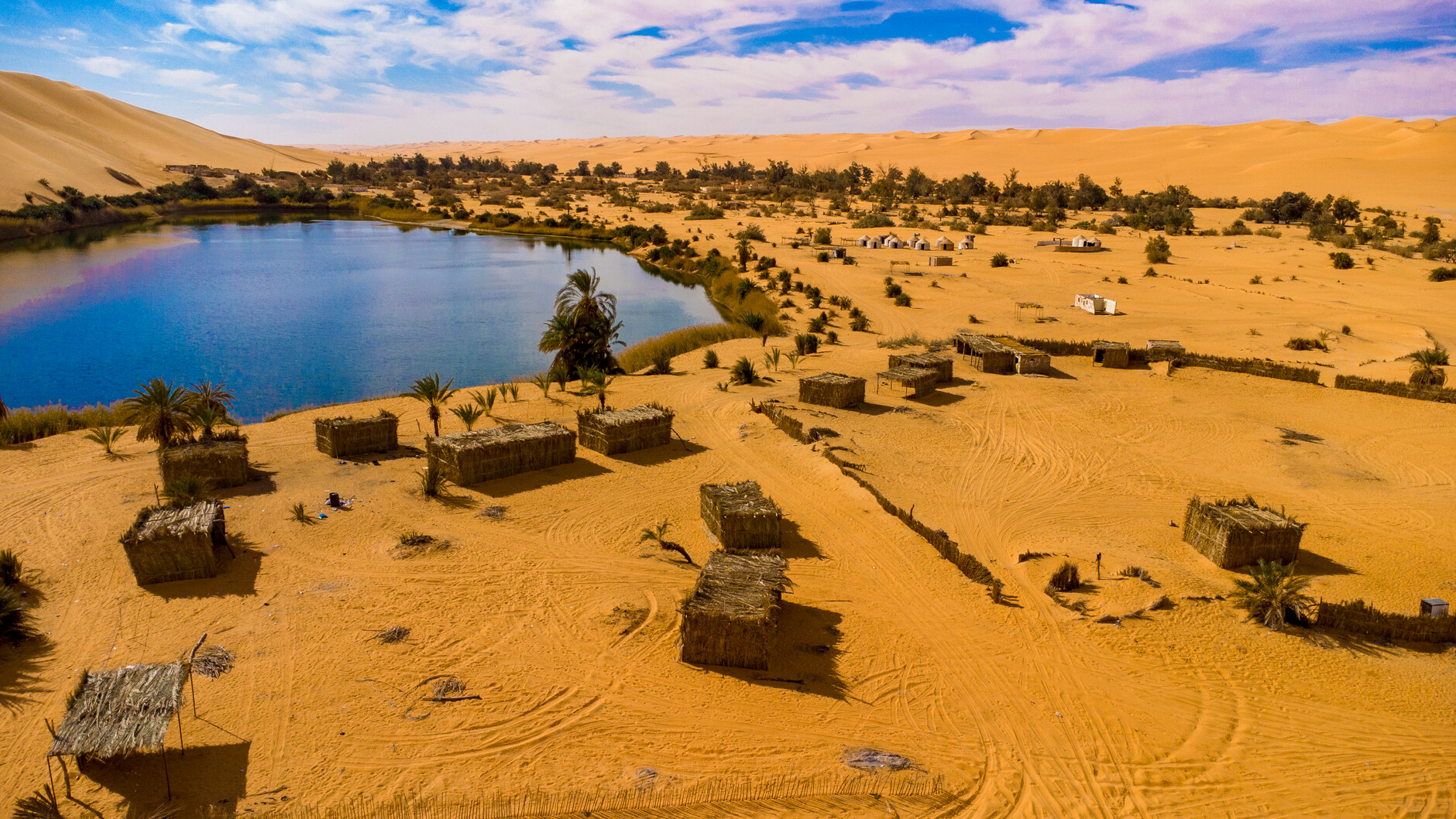 Aerial view of tranquil palm oasis surrounded by golden Sahara desert sand dunes in northern Chad