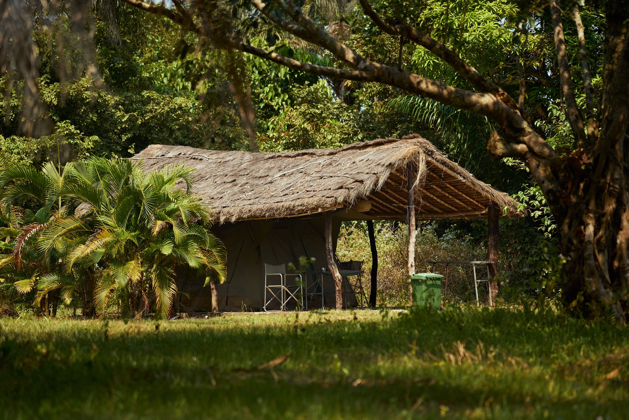 Tropical botanical gardens and shaded thatched pavilions at an eco-lodge in Kinshasa