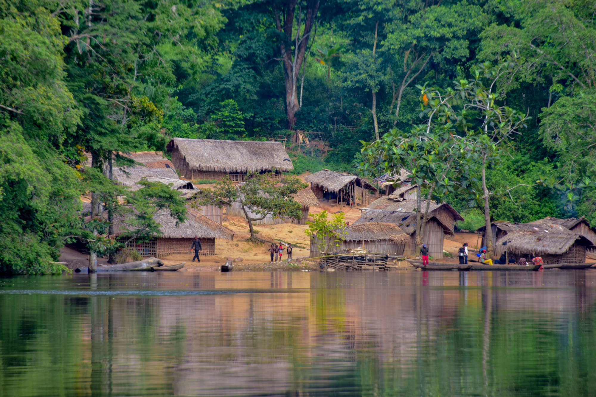 Aerial perspective of a rural river village situated among dense green equatorial rainforest canopies