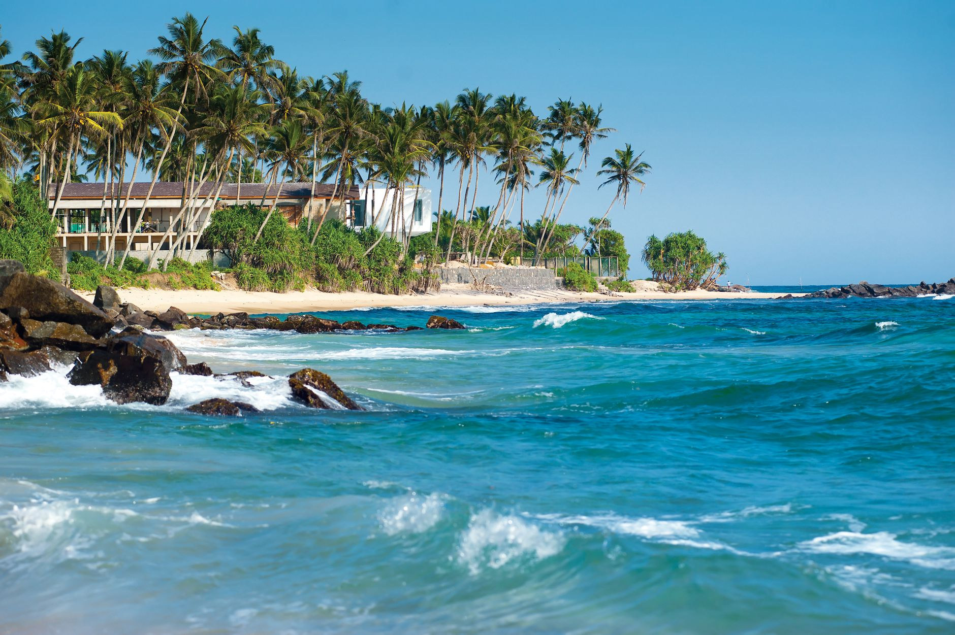 Wild palm-fringed shoreline at Batibou Beach on the north coast