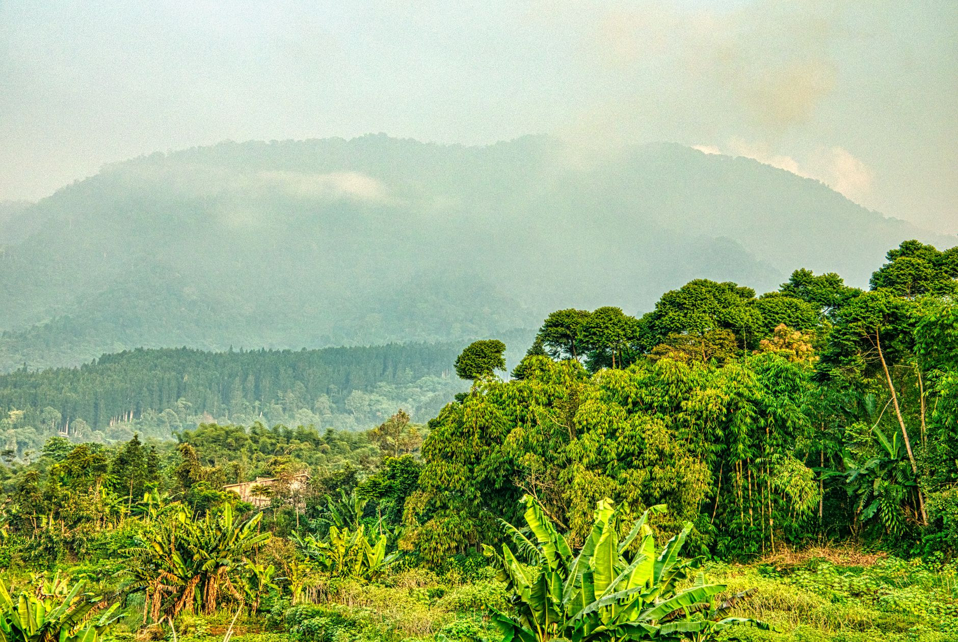Cloud mist draping the peaks of Morne Trois Pitons National Park