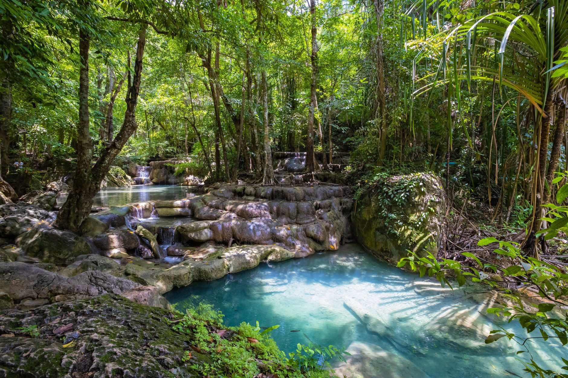 Twin waterfalls cascading through lush tropical rainforest in Dominica