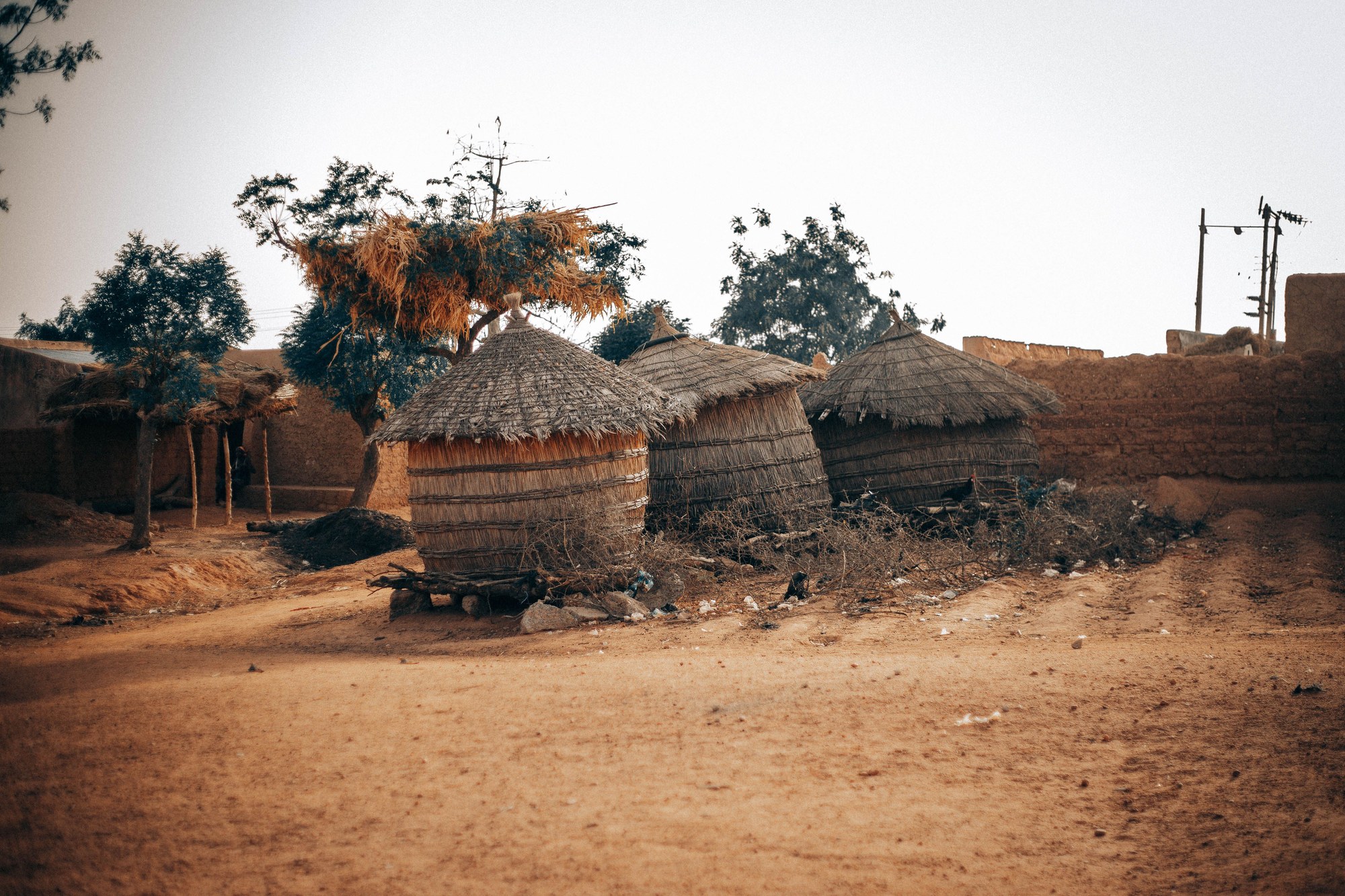 Traditional thatched dome huts in a rural African cultural setting
