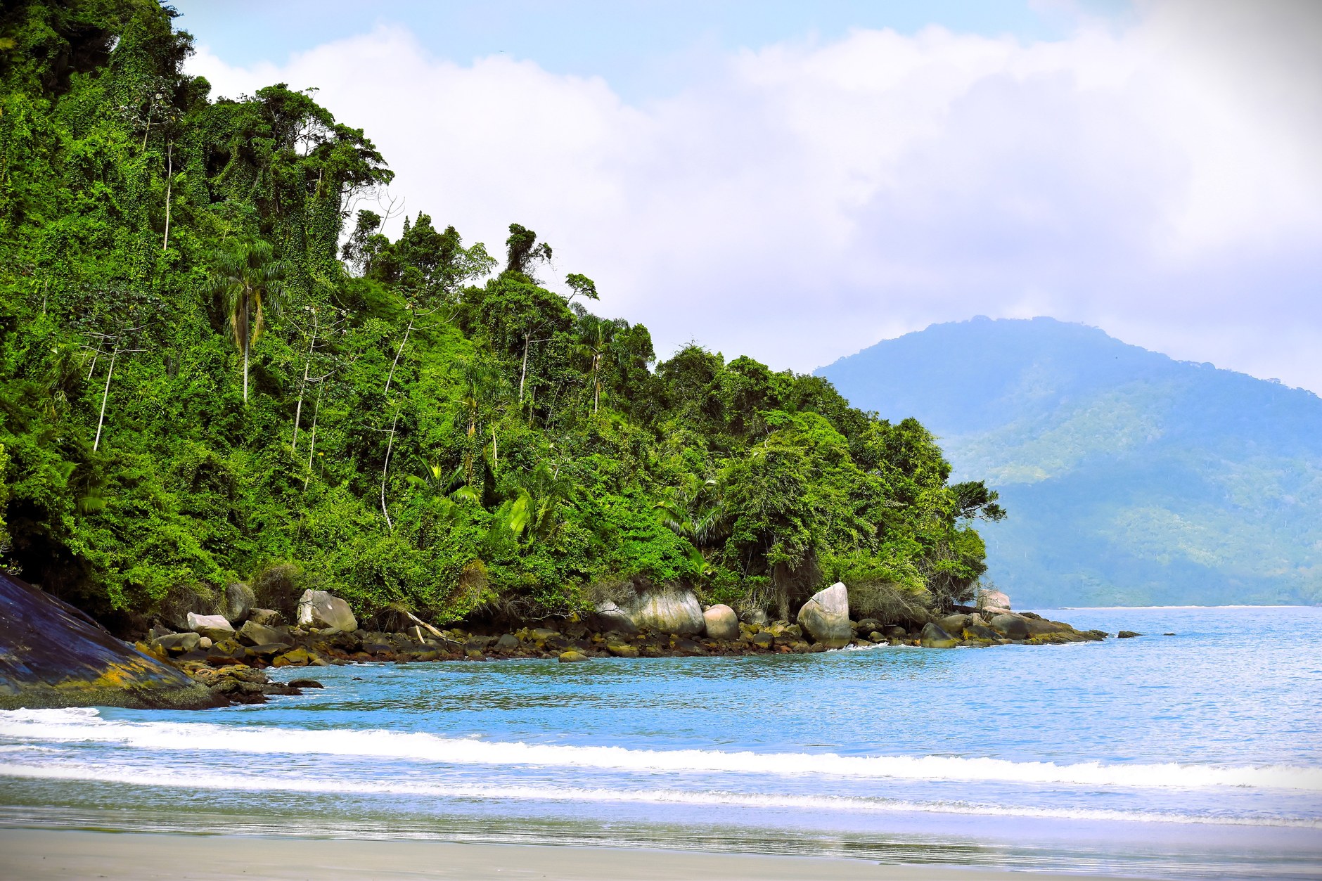 Wild Atlantic coastal sands fringed by equatorial rainforest in Loango National Park