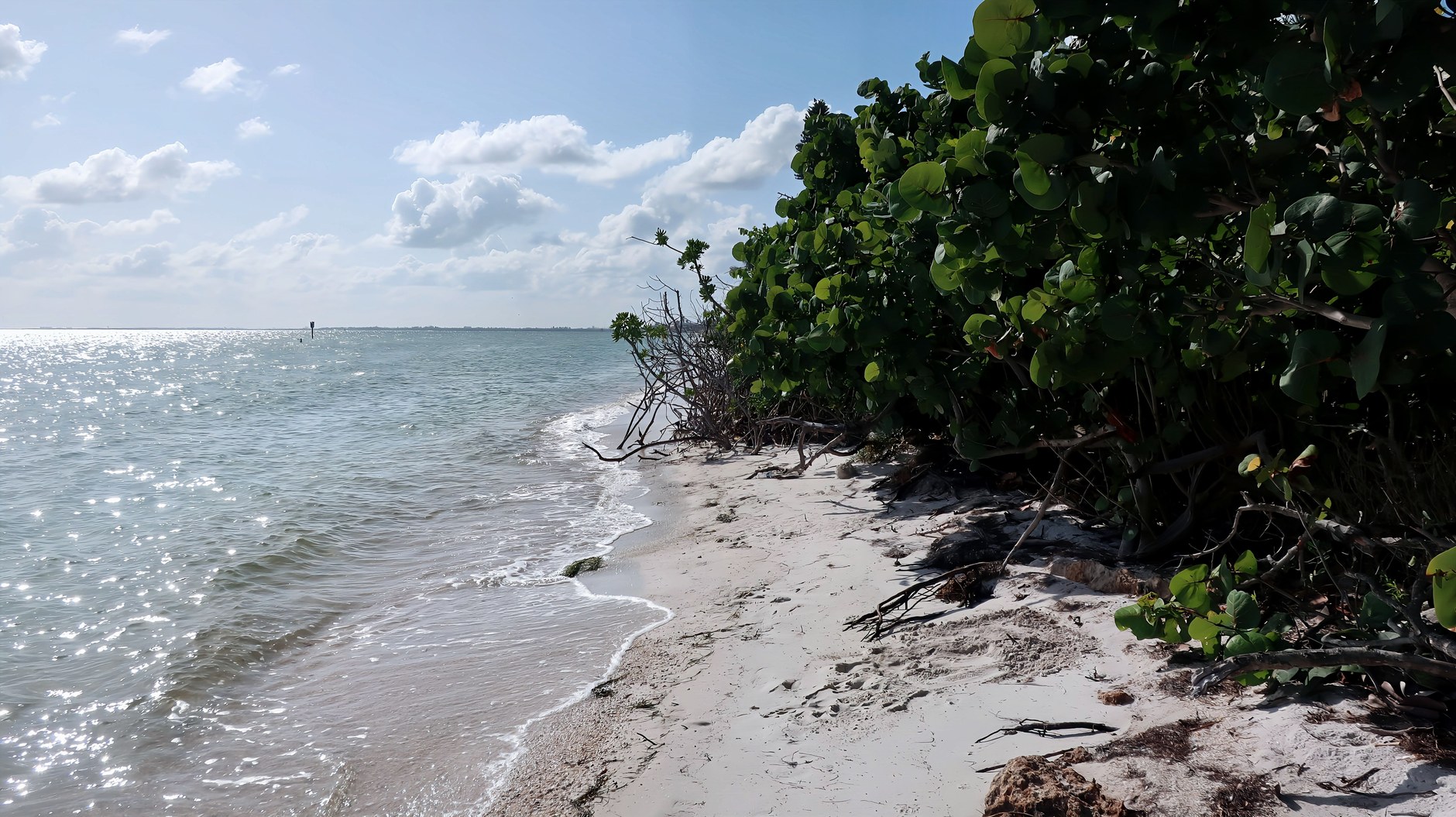 Protected coastal sand dunes and calm mangrove estuaries of Pongara National Park