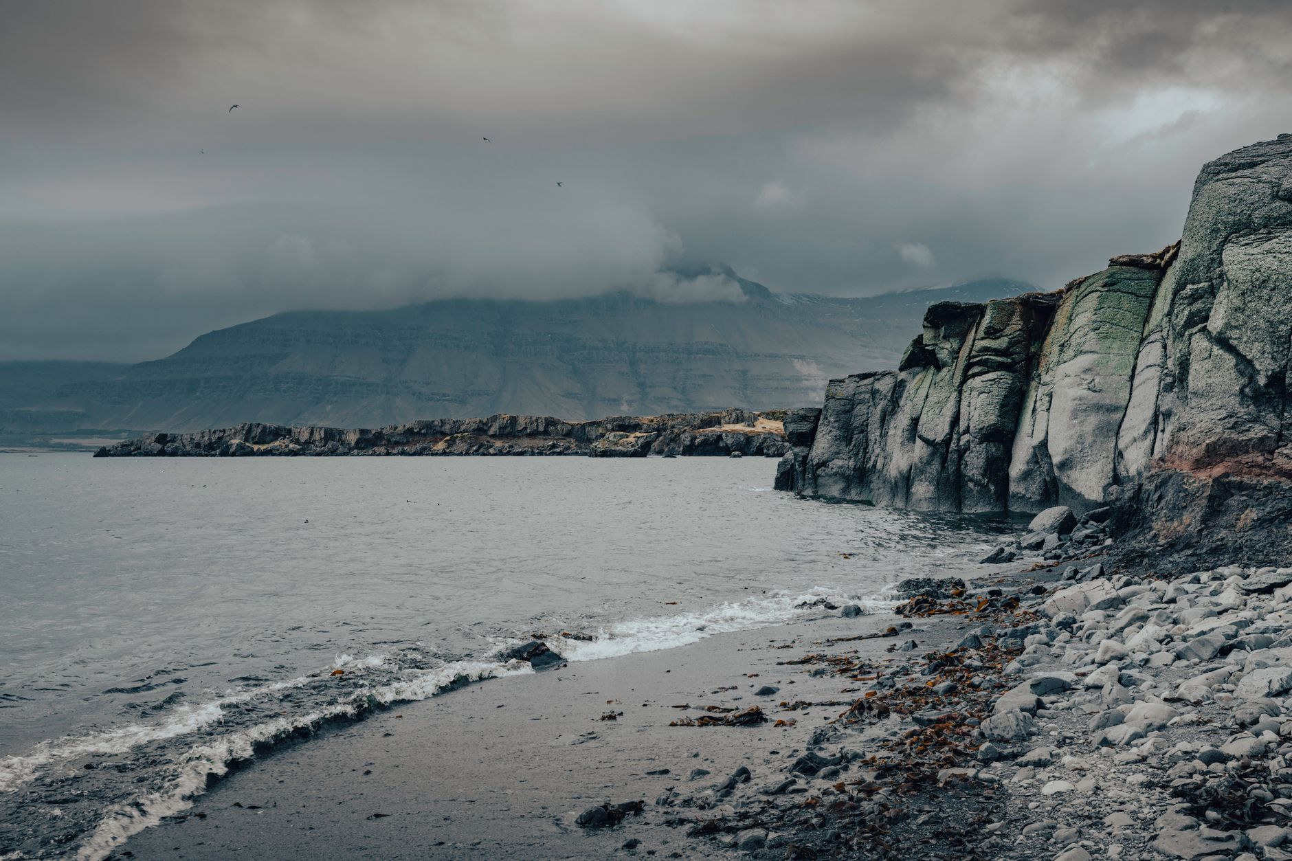 Volcanic basalt columns and dramatic coastal cliffs on Disko Island