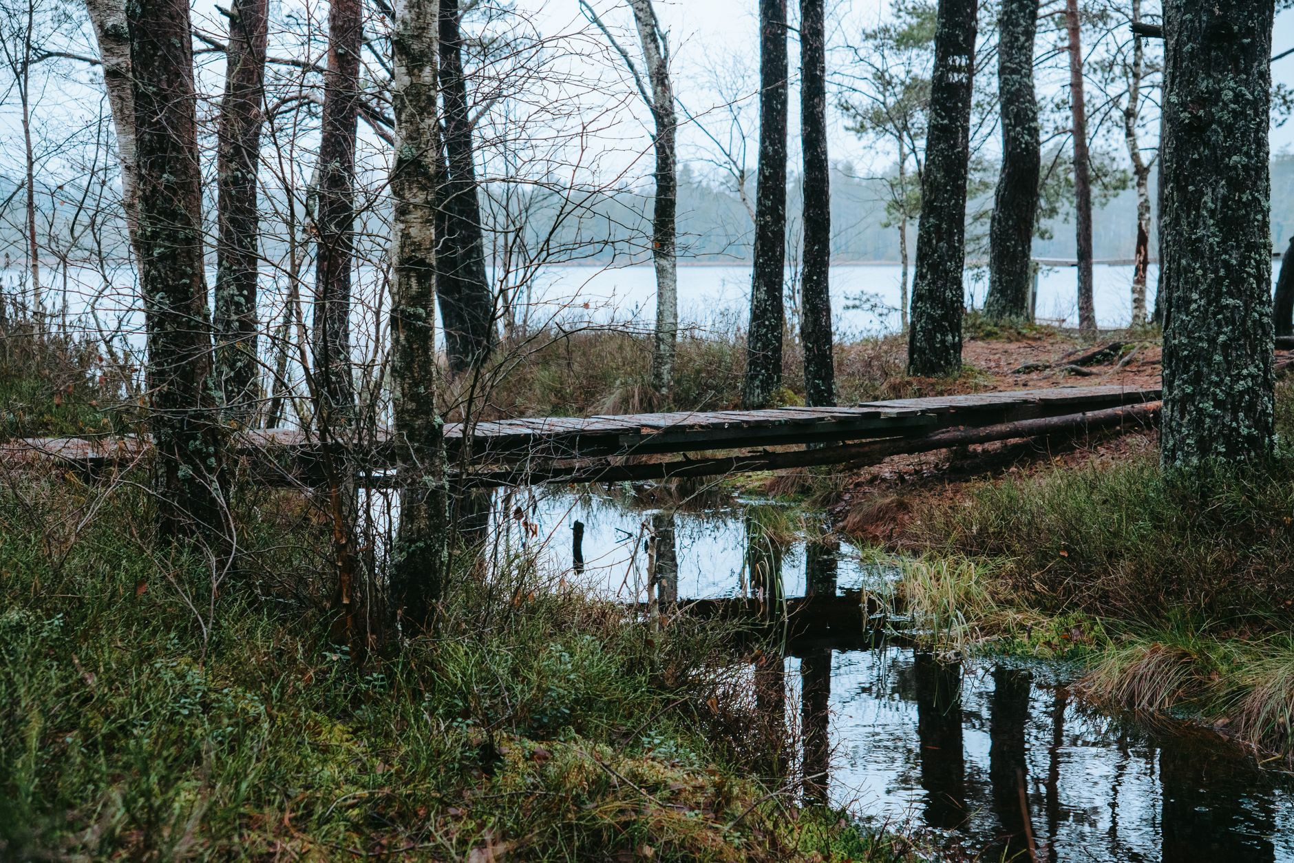 Wooden boardwalk trail crossing the arctic tundra at Sermermiut