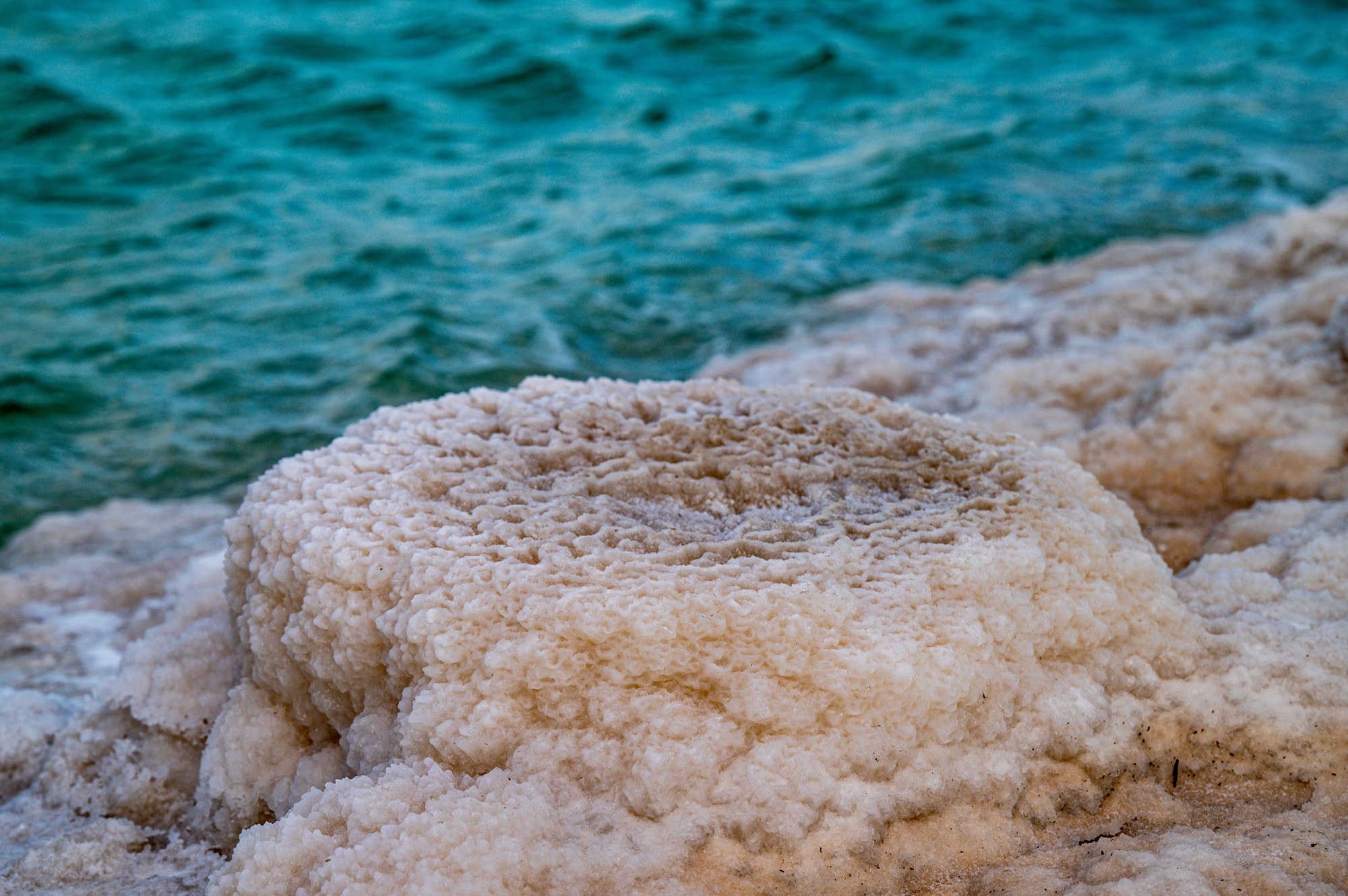 Intricate white mineral salt textures and crystal formations along deep blue water