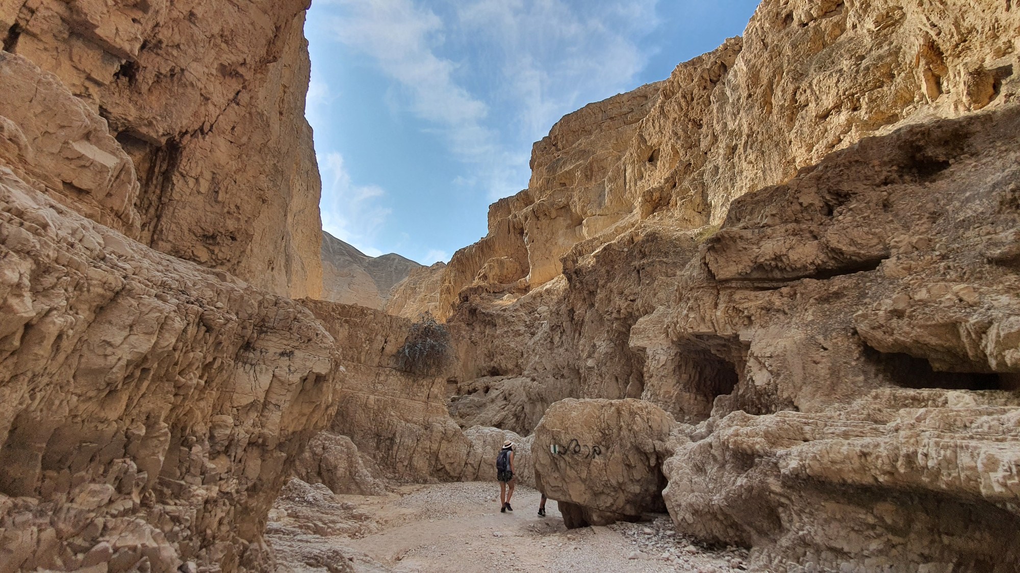 Desert canyon gorge with steep rocky cliffs and clear freshwater streams