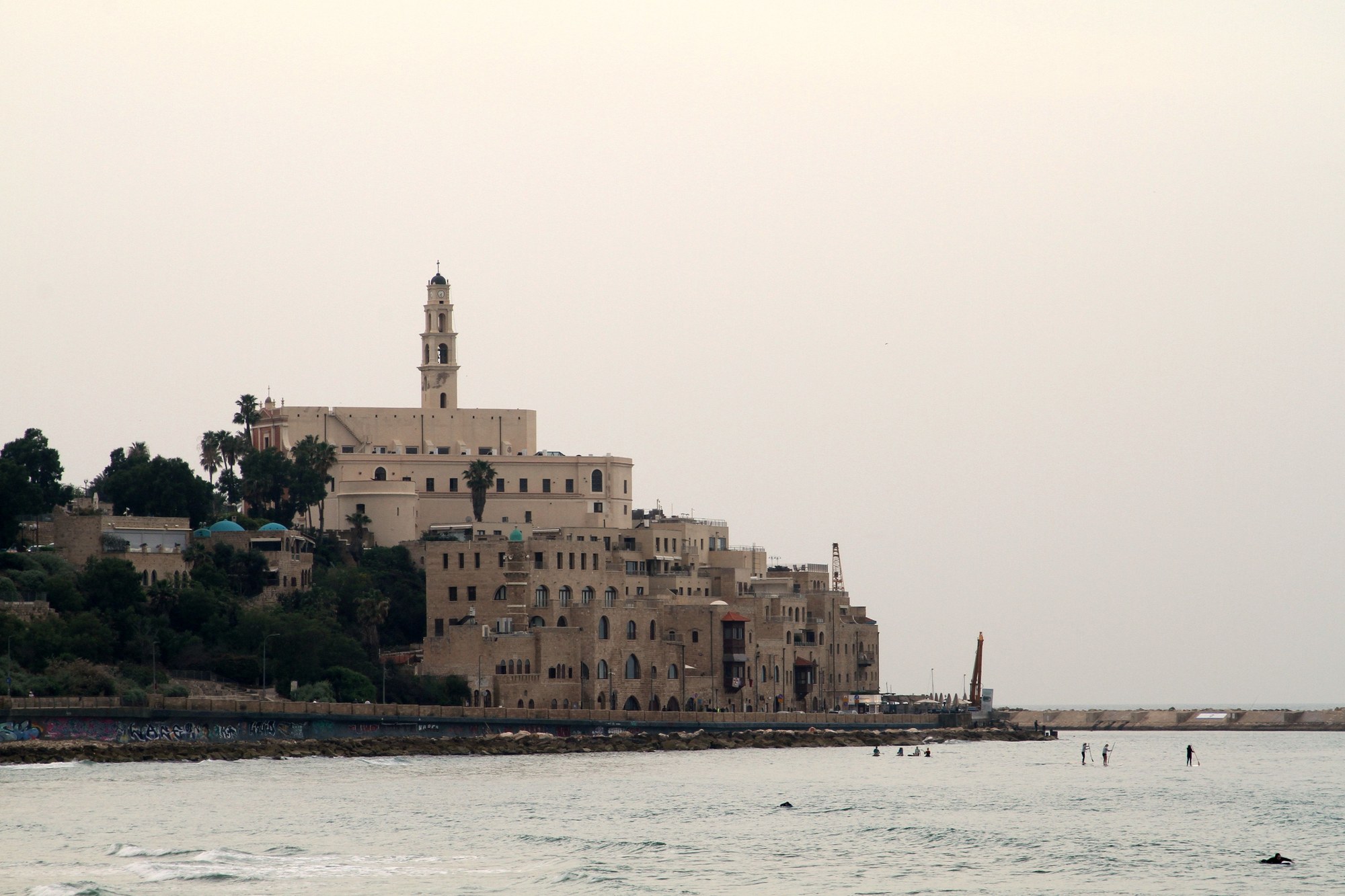 Historic stone buildings and palm trees overlooking the Mediterranean coast in Jaffa