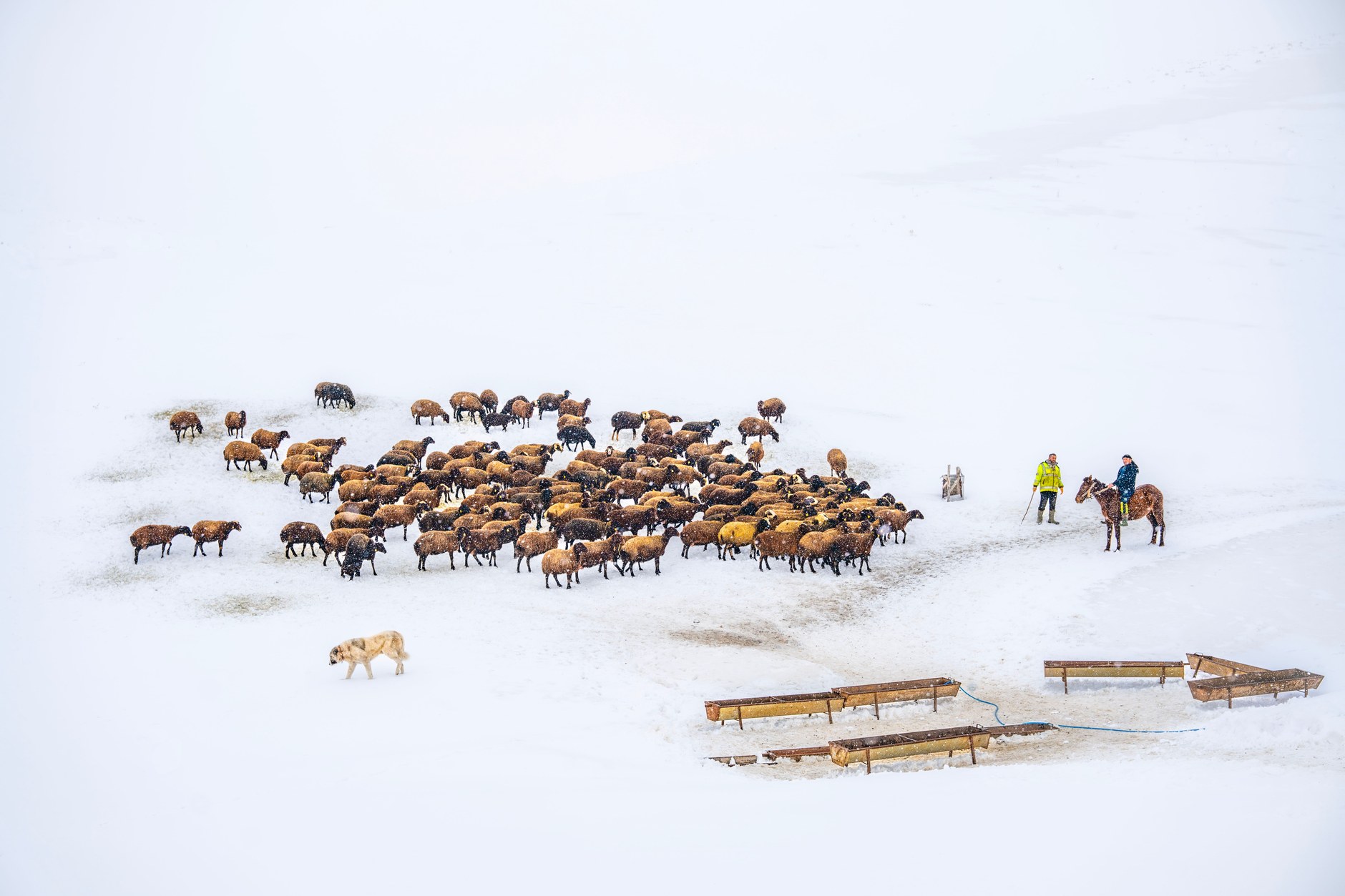A local highland rider wrapped in a traditional patterned wool blanket in the Maloti Mountains