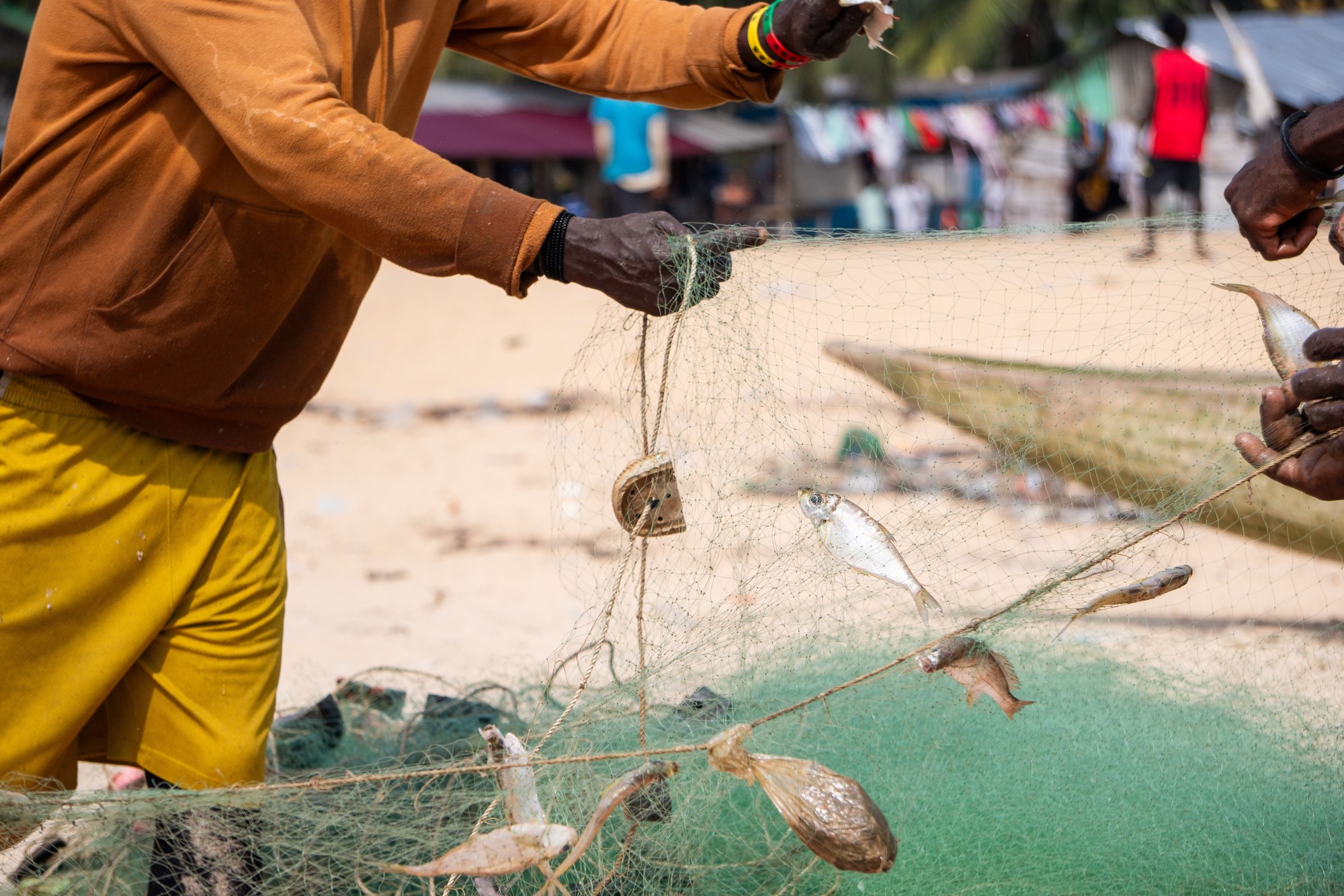Fishermen mending large fishing nets along the palm-fringed shoreline in Robertsport, Liberia