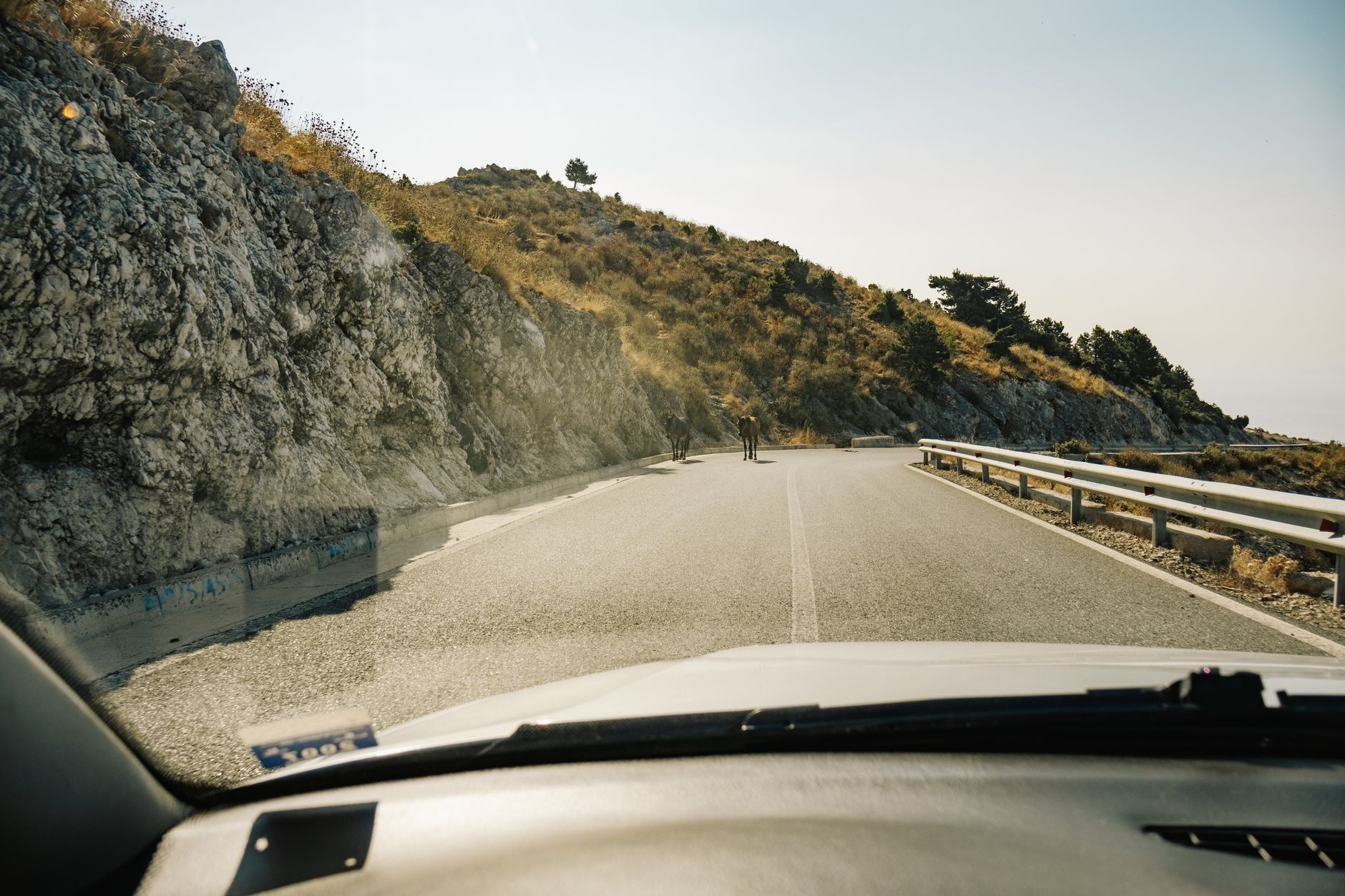 Dramatic mountain highway winding up steep pine forested peaks on the Llogara Pass overlooking the Albanian Riviera