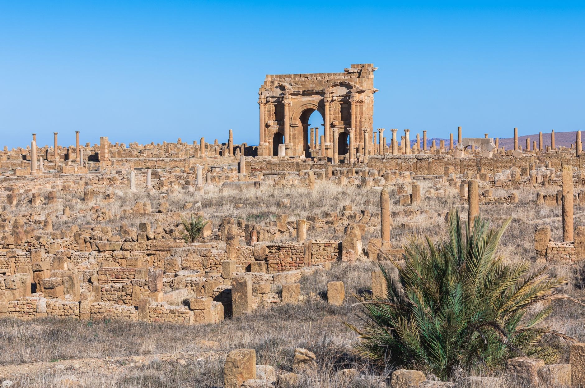 The imposing sandstone Arch of Trajan standing amid the expansive grid-planned Roman ruins of Timgad