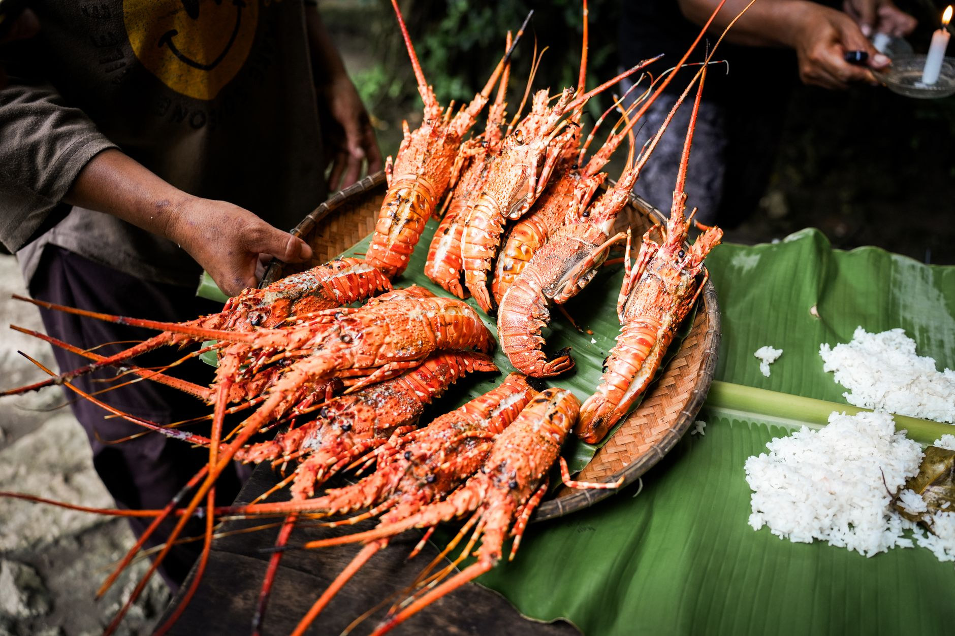 Freshly caught Caribbean spiny lobsters seasoned with island herbs and grilled outdoors over open coals