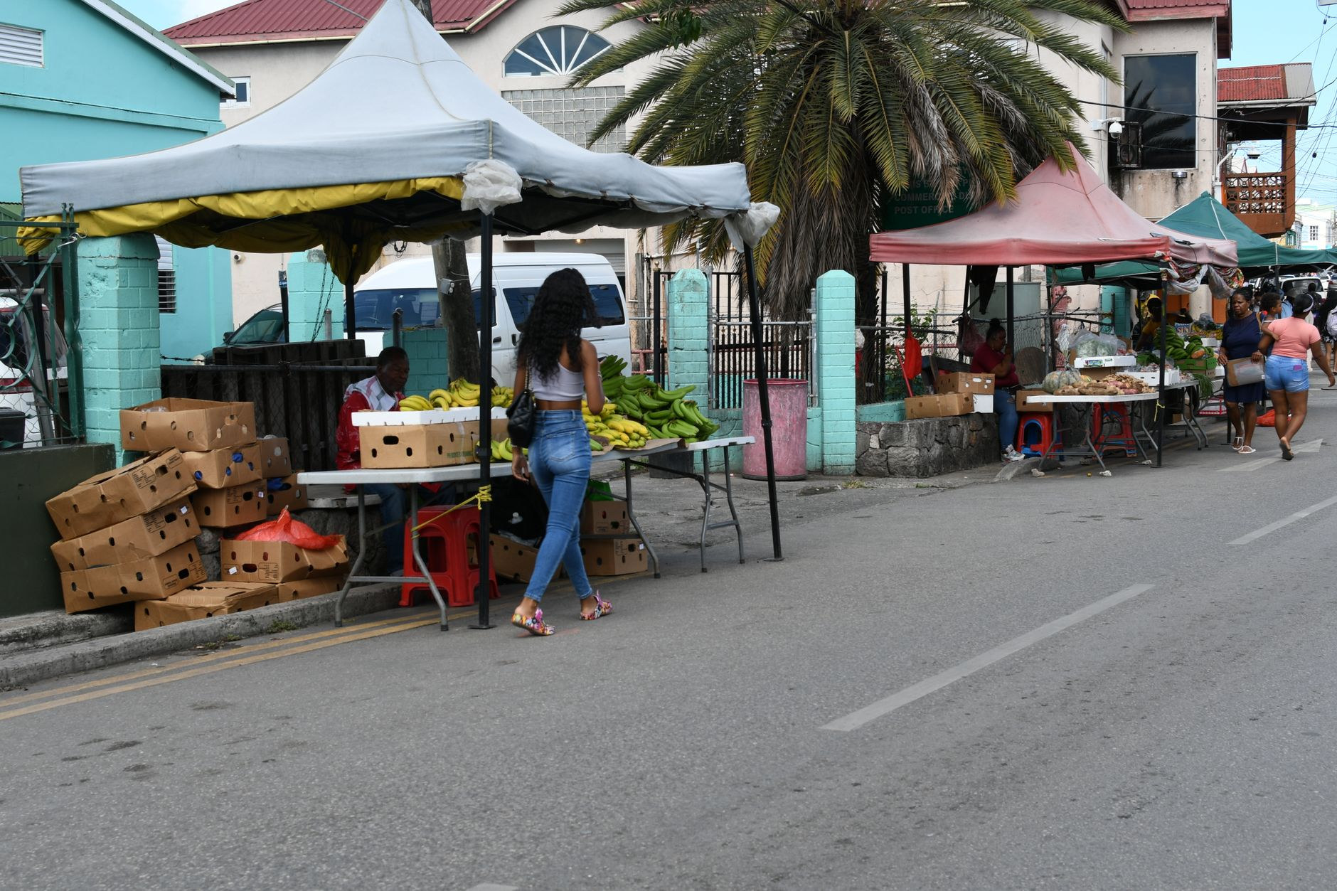 Bustling outdoor market stalls piled high with fresh tropical fruits, vegetables, and provisions in Saint John