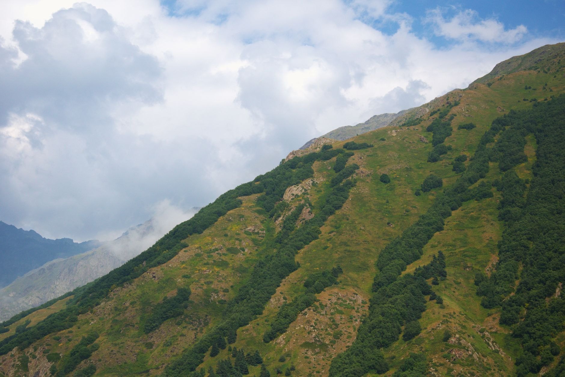 Lush forested green slopes of the Greater Caucasus mountains rising behind a quiet stone village with tile roofs