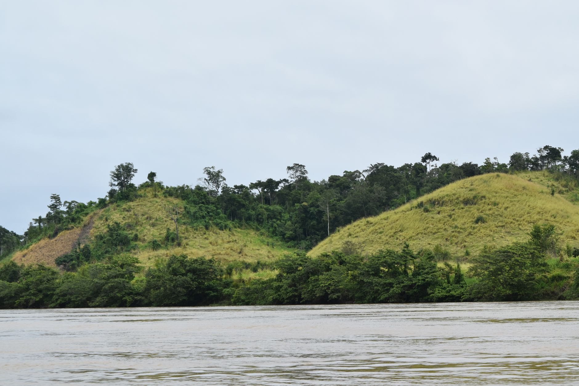 Verdant tropical rainforest covering rolling limestone karst hills and pristine river valleys in the Cayo District