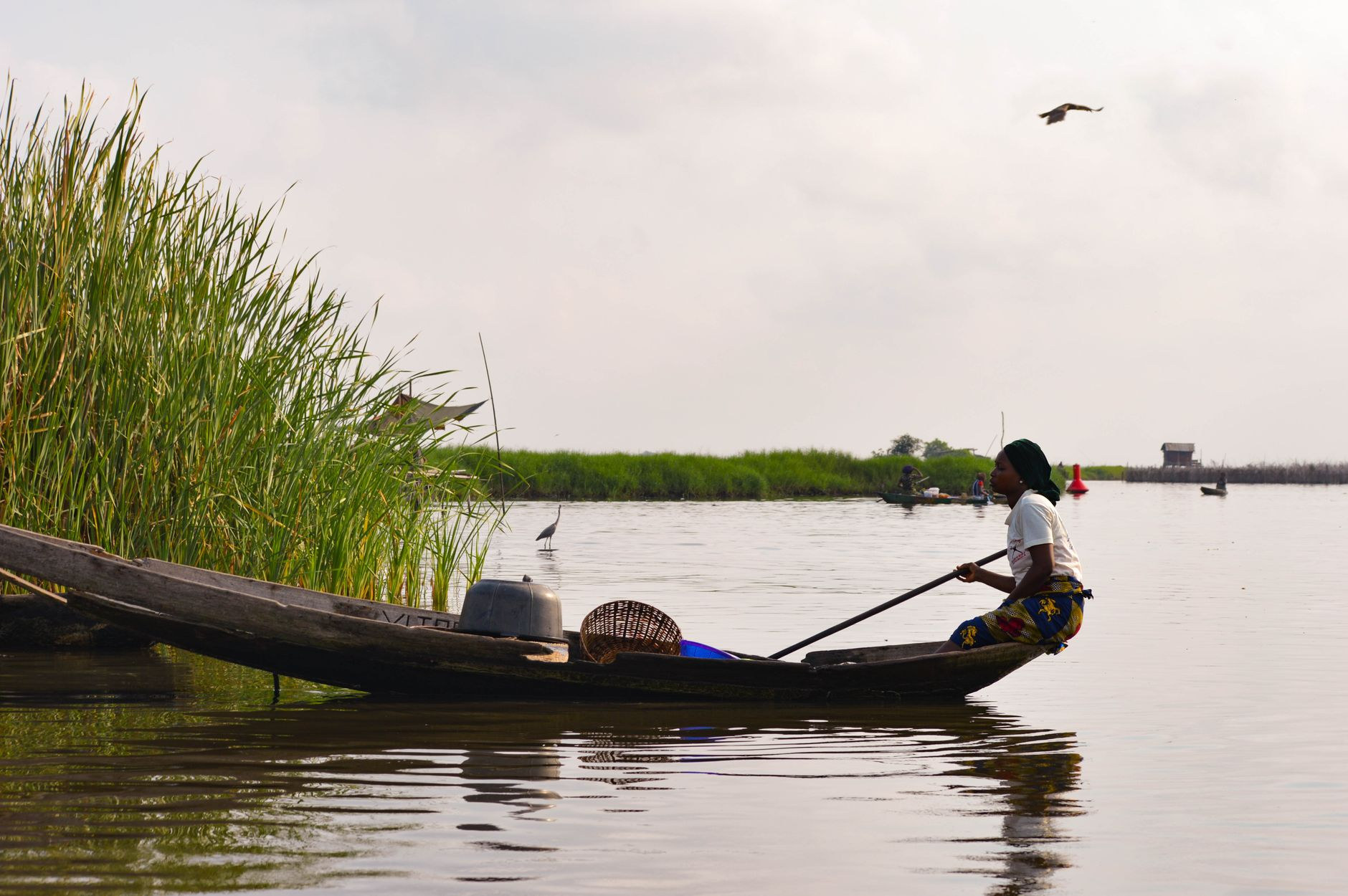Wooden canoe gliding through a quiet marsh channel fringed by tall green reeds on Lake Nokoue