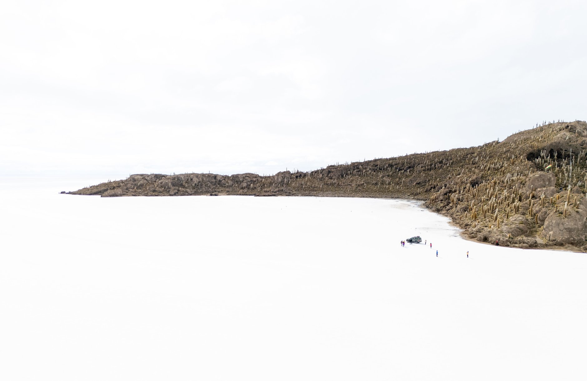 Centuries-old giant Trichocereus cacti growing across fossilized coral rocks on Incahuasi Island in the heart of the Salar de Uyuni