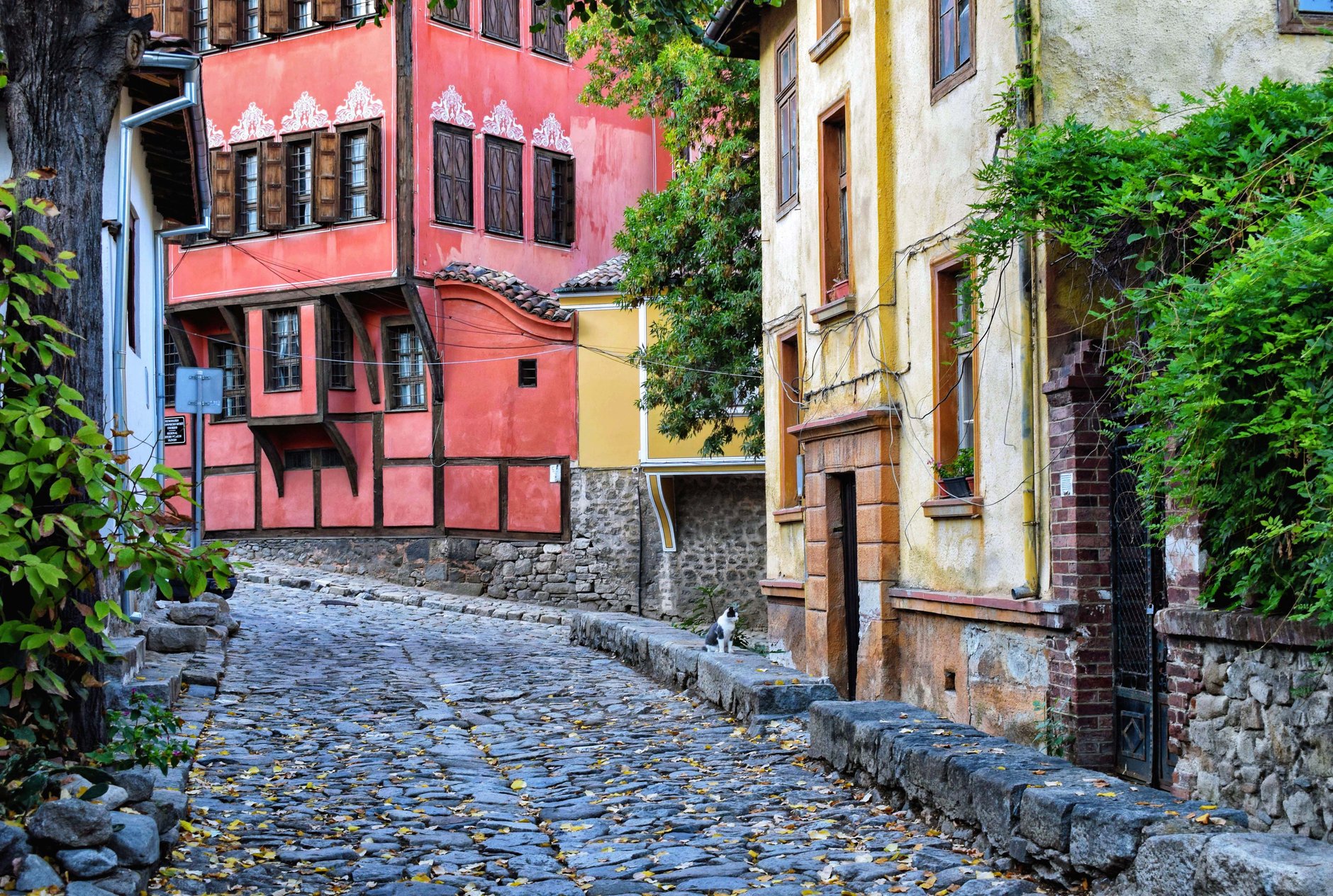 Steep cobblestone lane lined with painted National Revival wooden timber-frame mansions in the Old Town of Plovdiv