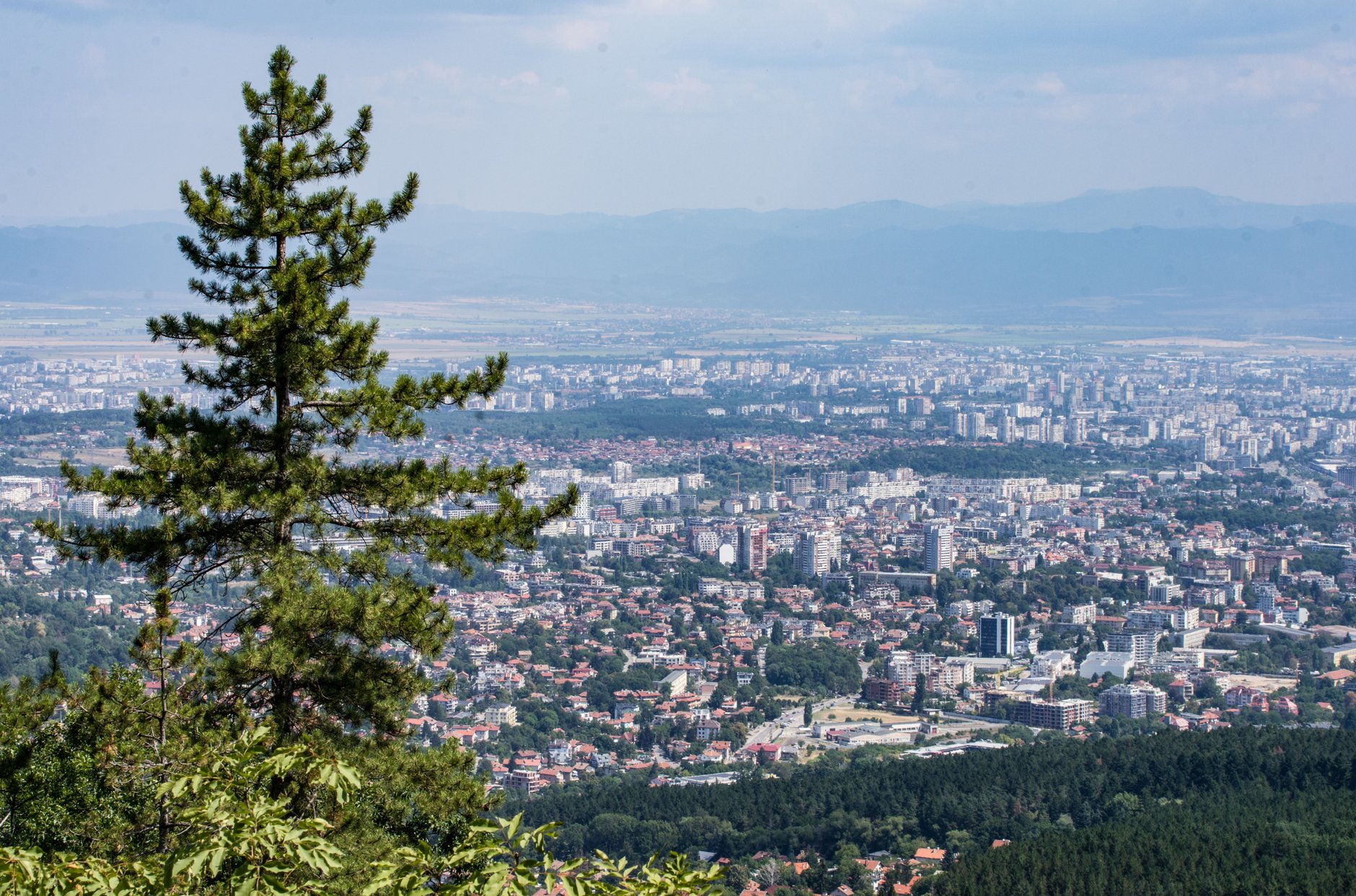 Panoramic view of Sofia capital city spreading below the rounded peak of Vitosha mountain in late afternoon light