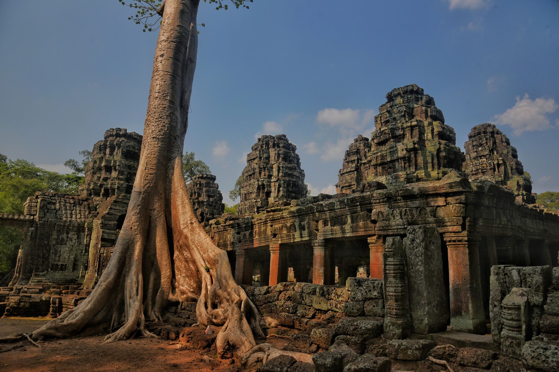 Massive strangler fig tree roots engulfing ancient stone doorways at Ta Prohm temple
