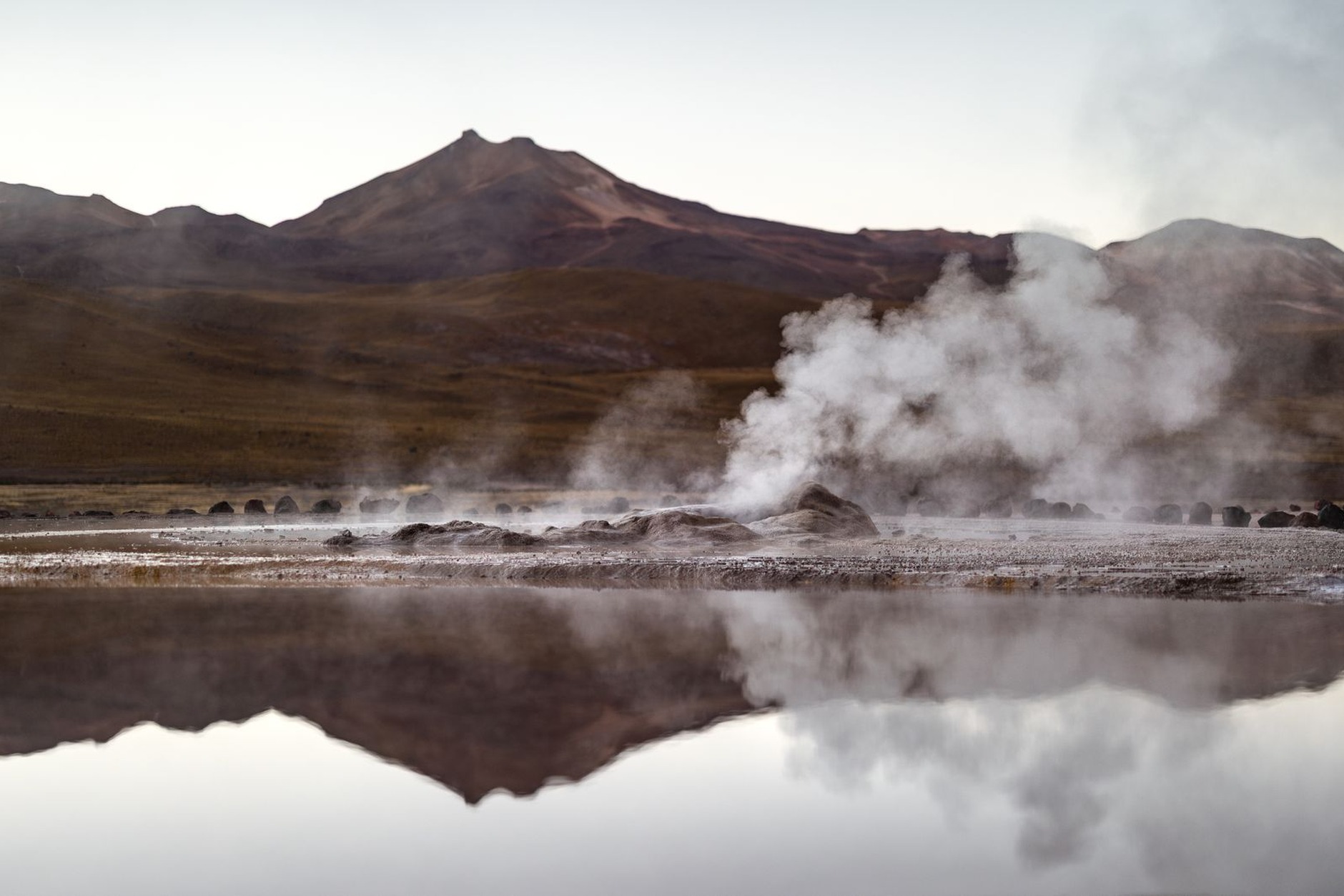 Steam fumaroles rising dramatically from bubbling thermal geysers at sunrise in El Tatio Atacama Chile