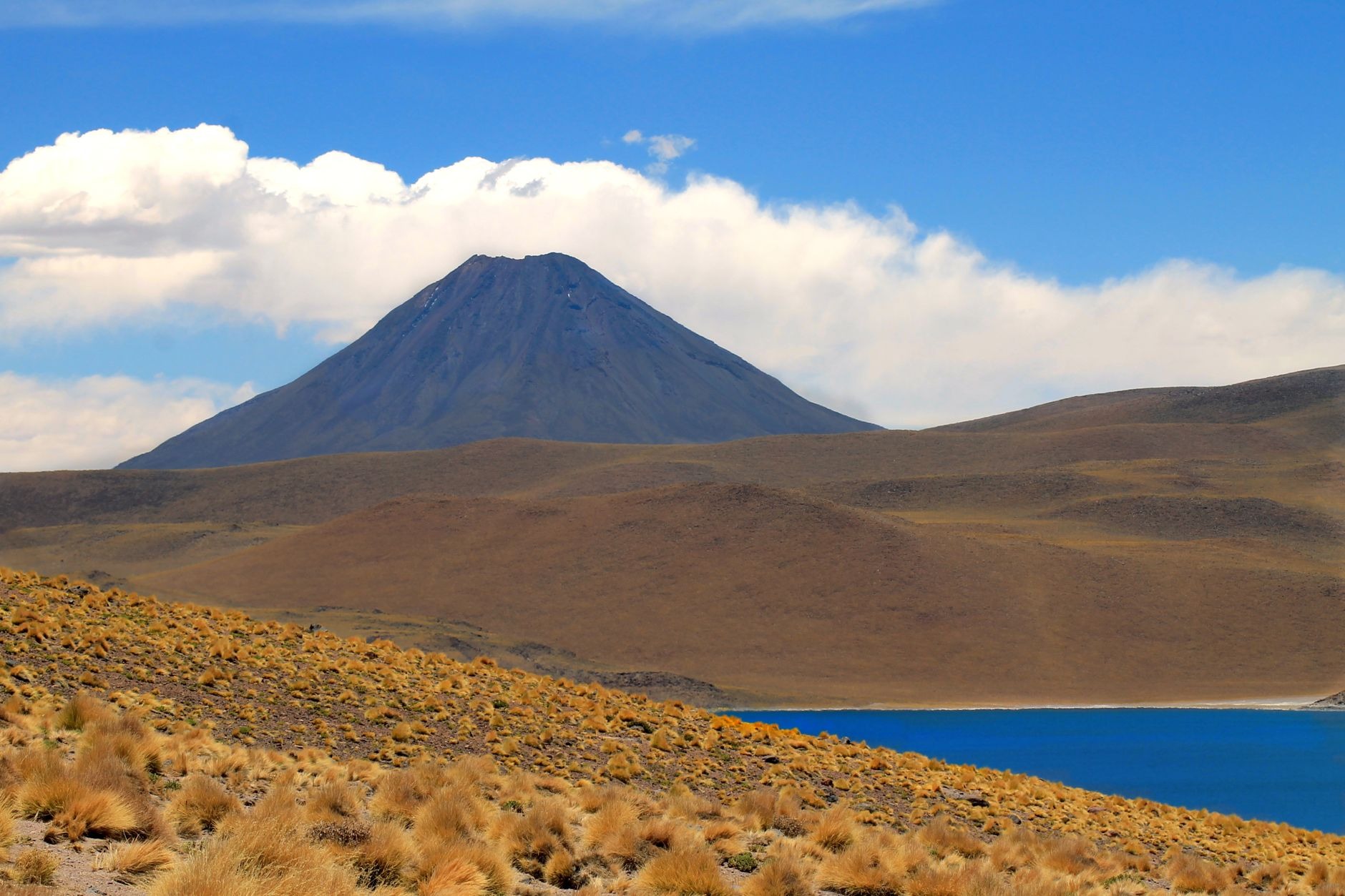 Deep blue high-altitude Miscanti lagoon surrounded by yellow Altiplano grasses and towering volcanic peaks
