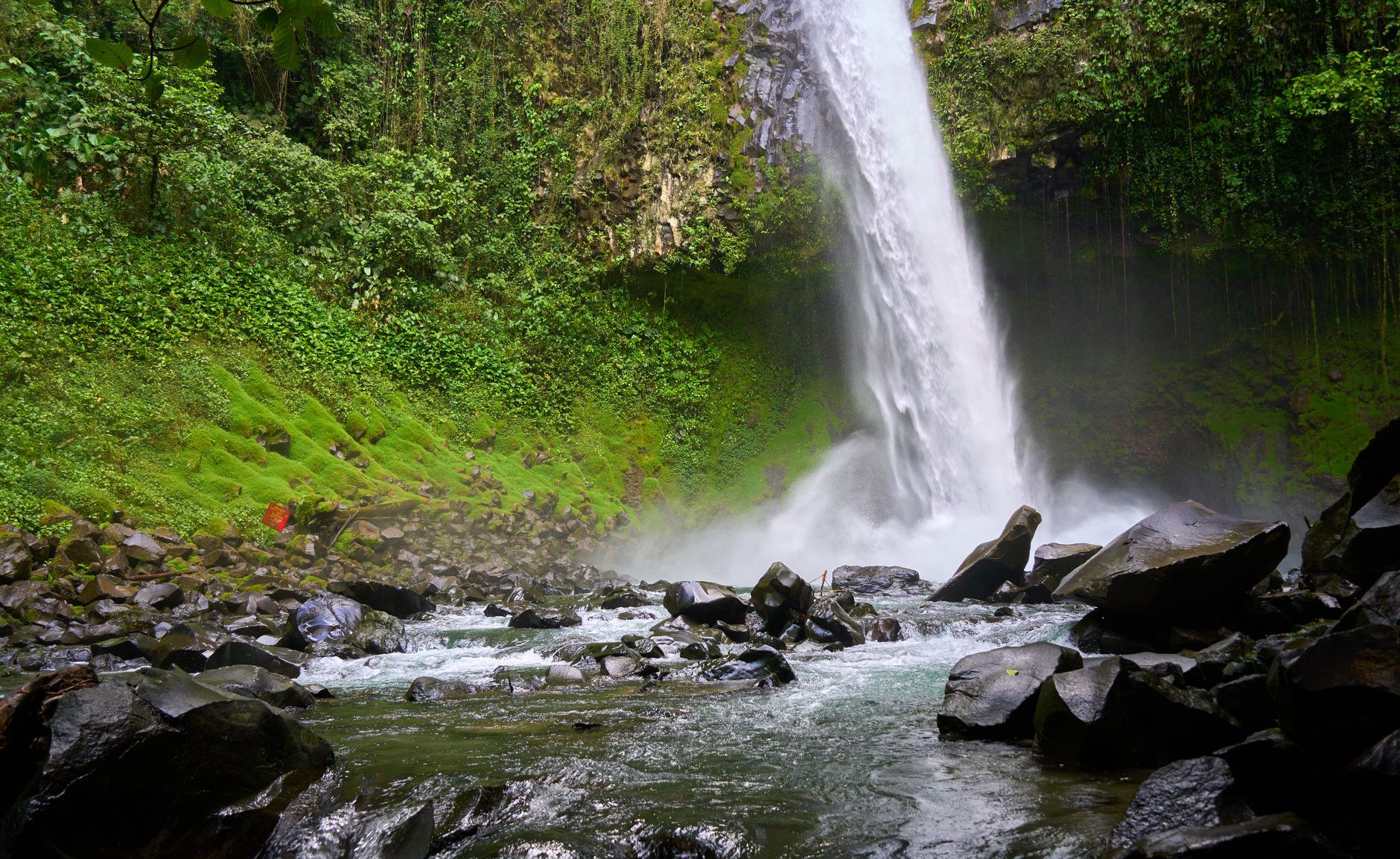 Powerful waterfall plunging into a turquoise jungle pool