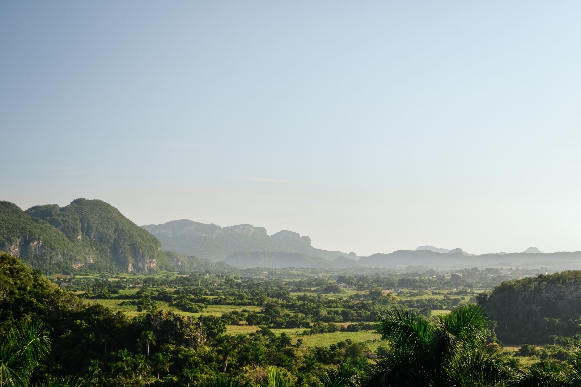 Panoramic landscape over the verdant tobacco fields and towering karst limestone mogotes of Vinales Valley