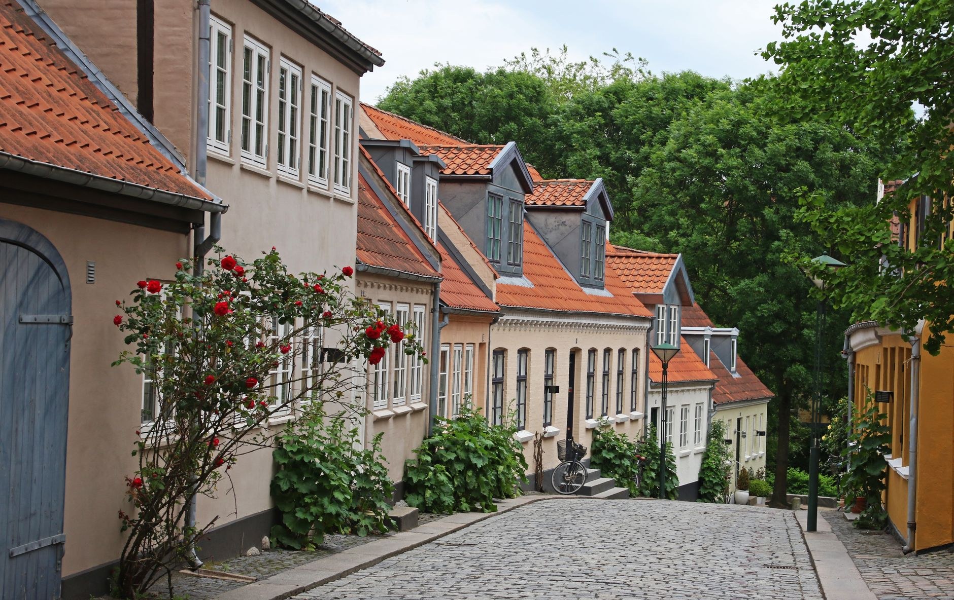 Cobblestoned pedestrian alley with timber-framed yellow cottages in the historic quarter of Odense