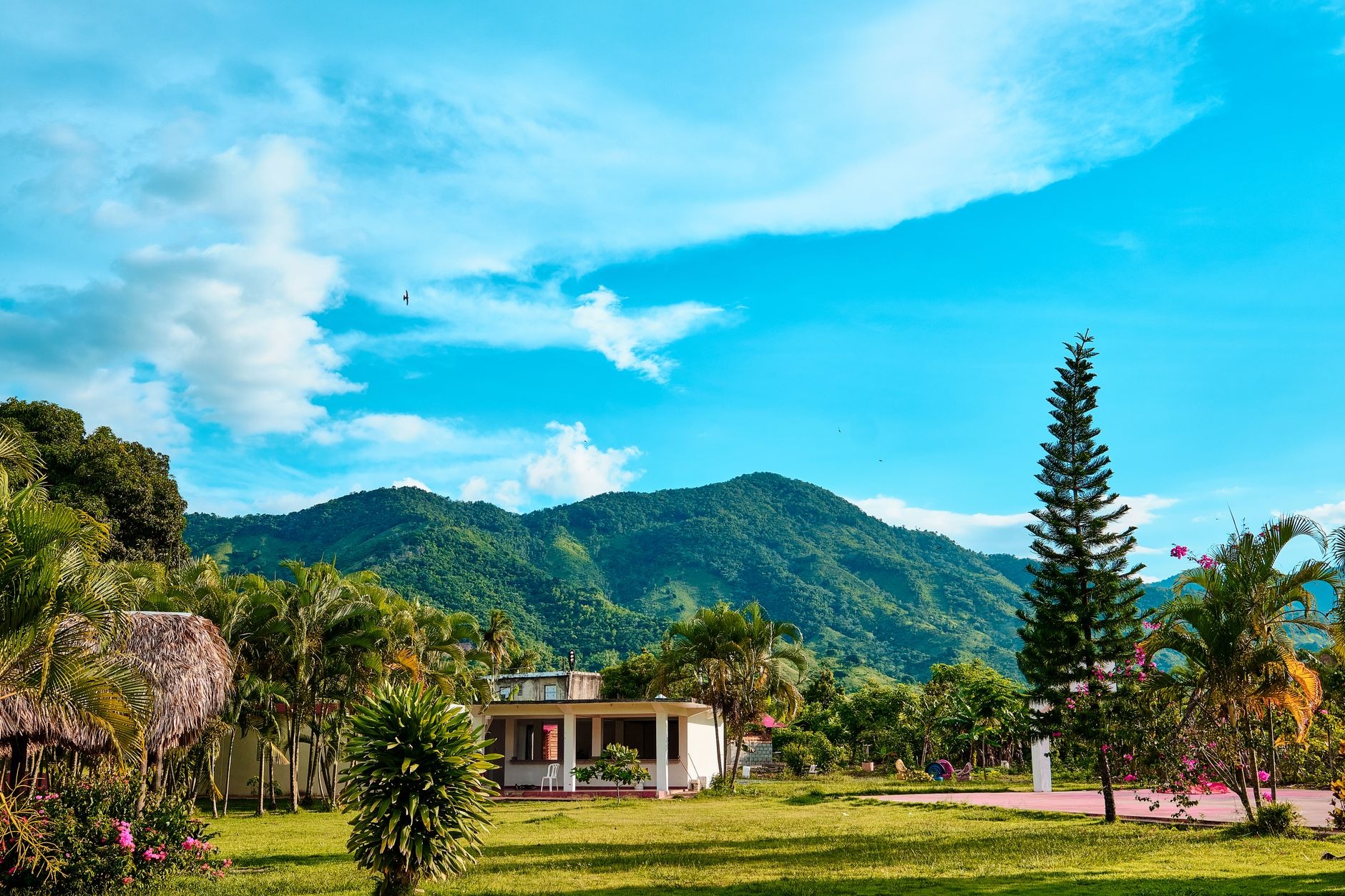 Cool mist rising over pine-clad mountain ridges and deep river valleys in Jarabacoa Cordillera Central