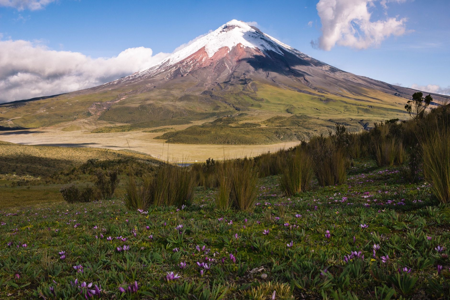 Reflective mountain waters of Limpiopungo Lagoon in Cotopaxi National Park framed by Andean volcanic peaks