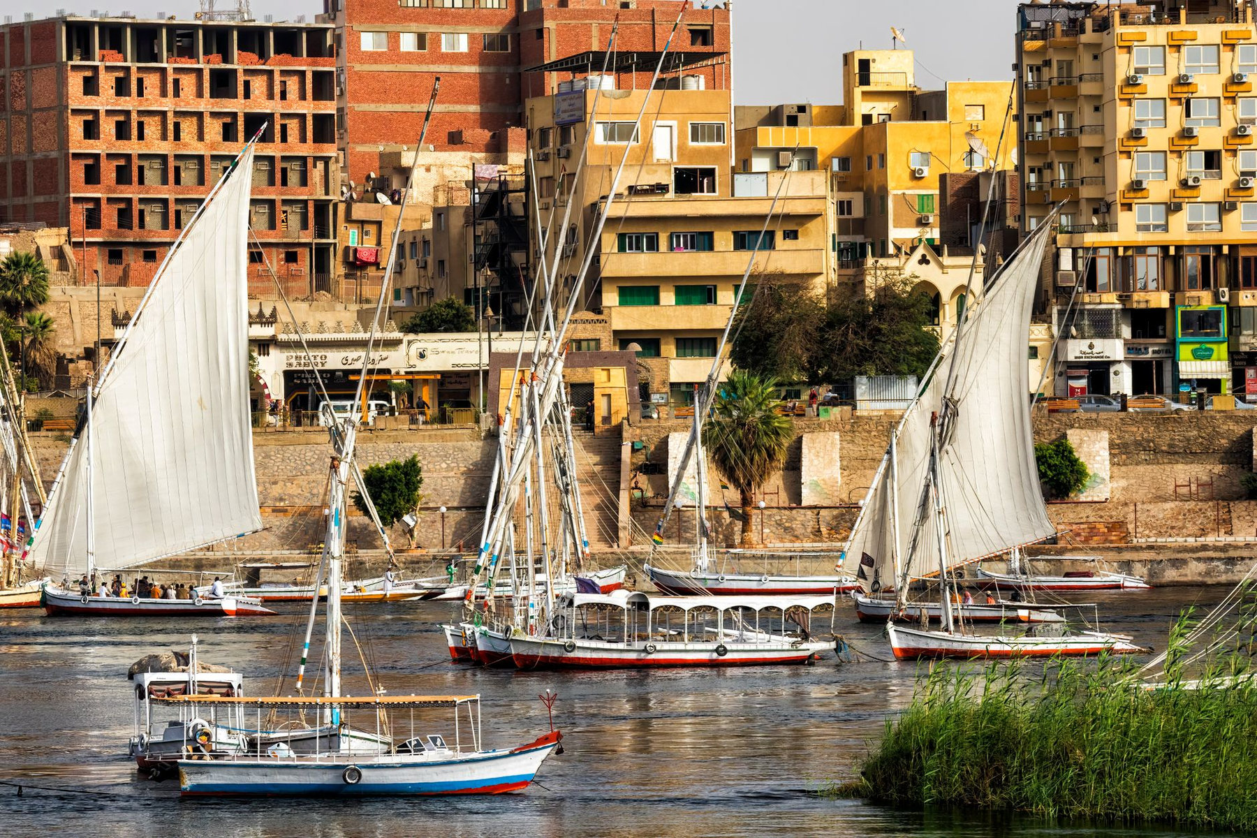 Feluccas on the Nile at Aswan