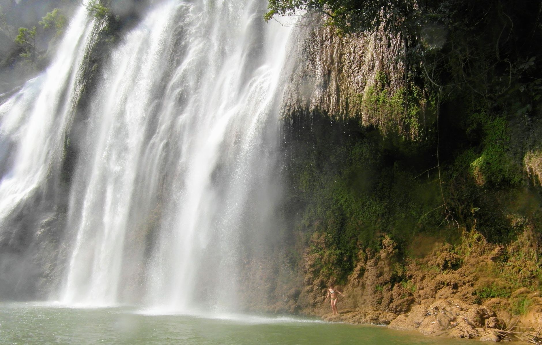 Cool freshwater springs and waterfalls cascading down fern-covered stone cliffs into a natural forest pool