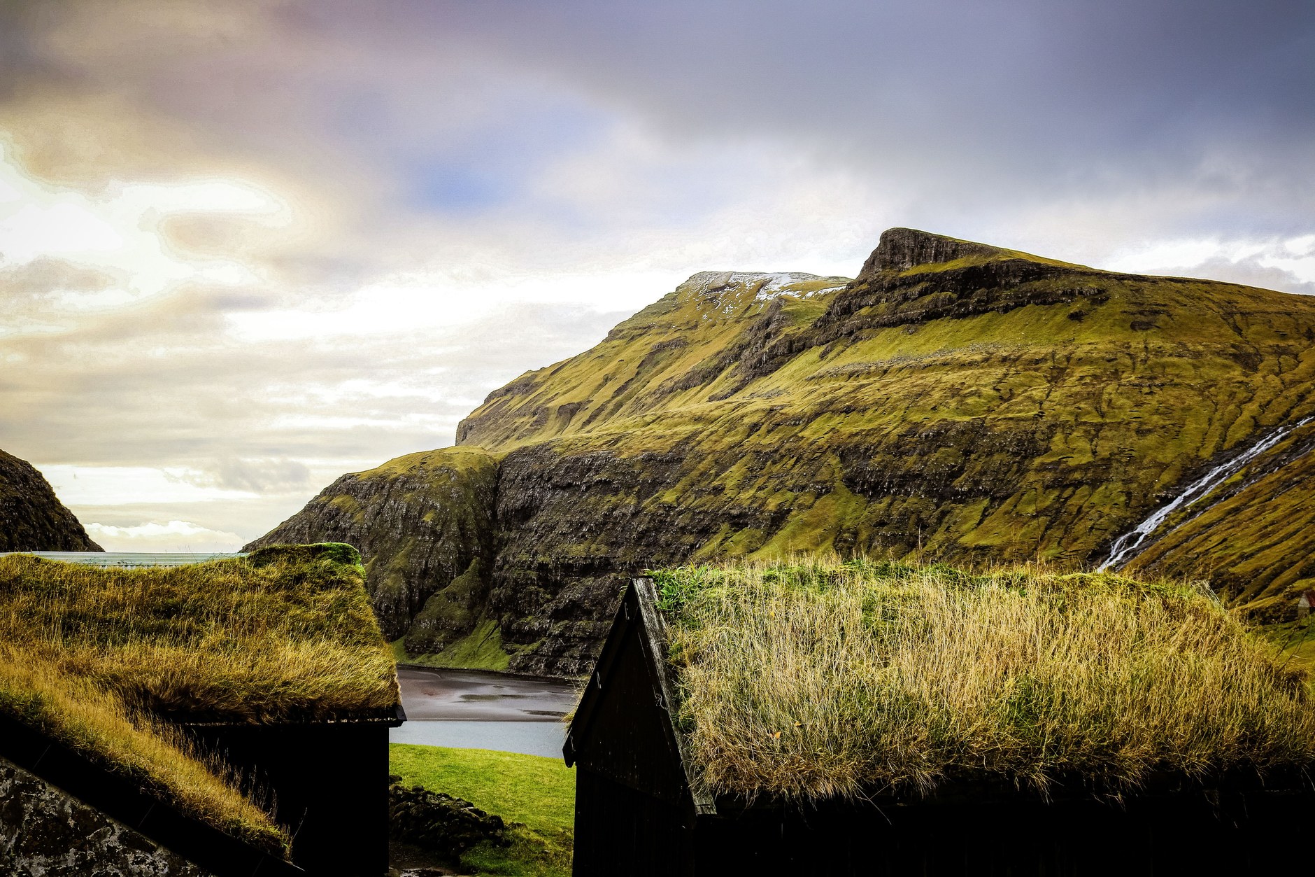 Faroese village settlement with traditional timber cottages topped with lush green turf roofs
