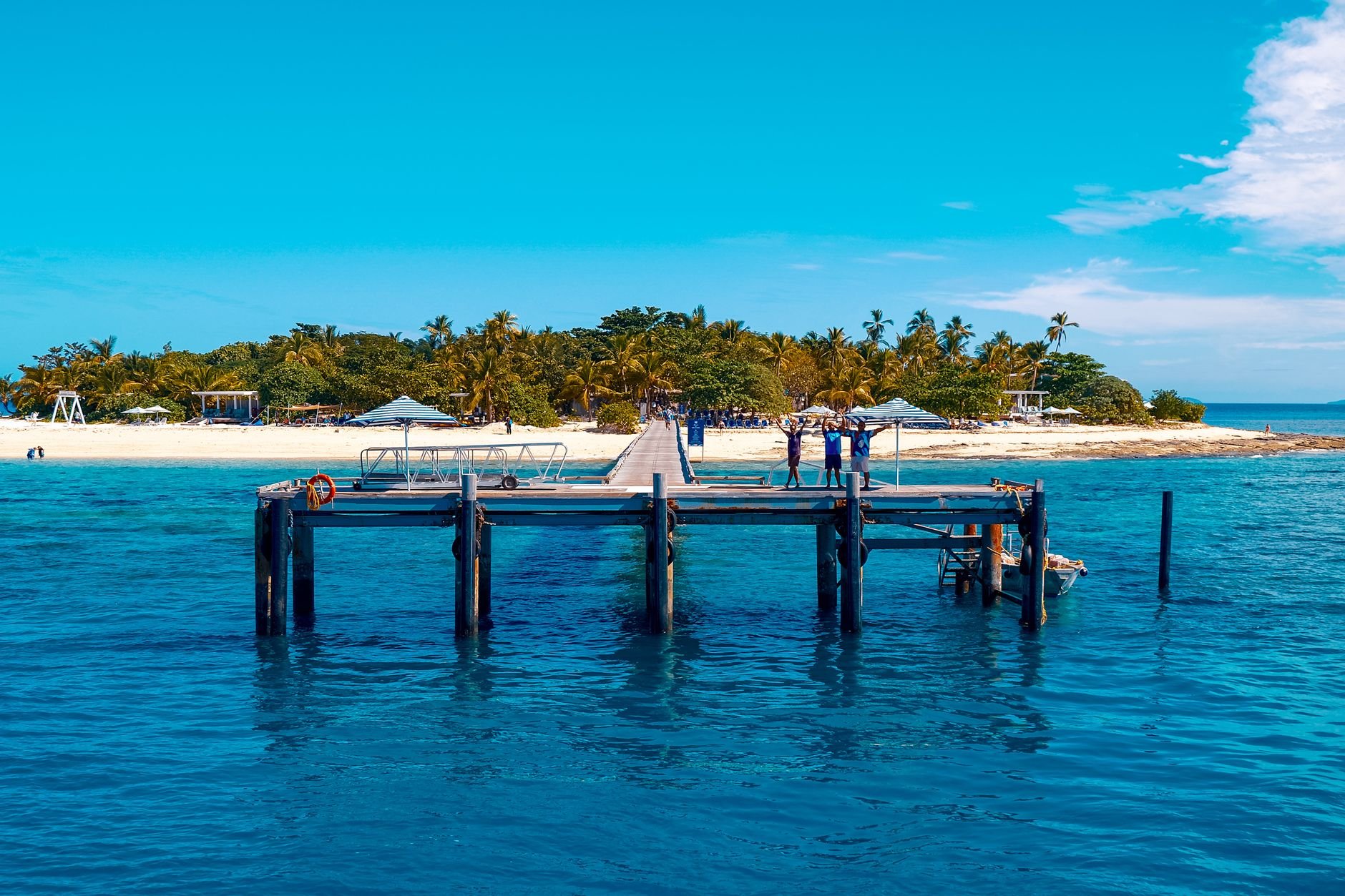Curving coconut palm trees hanging over powdery white sands and translucent turquoise waters along the Coral Coast of Viti Levu