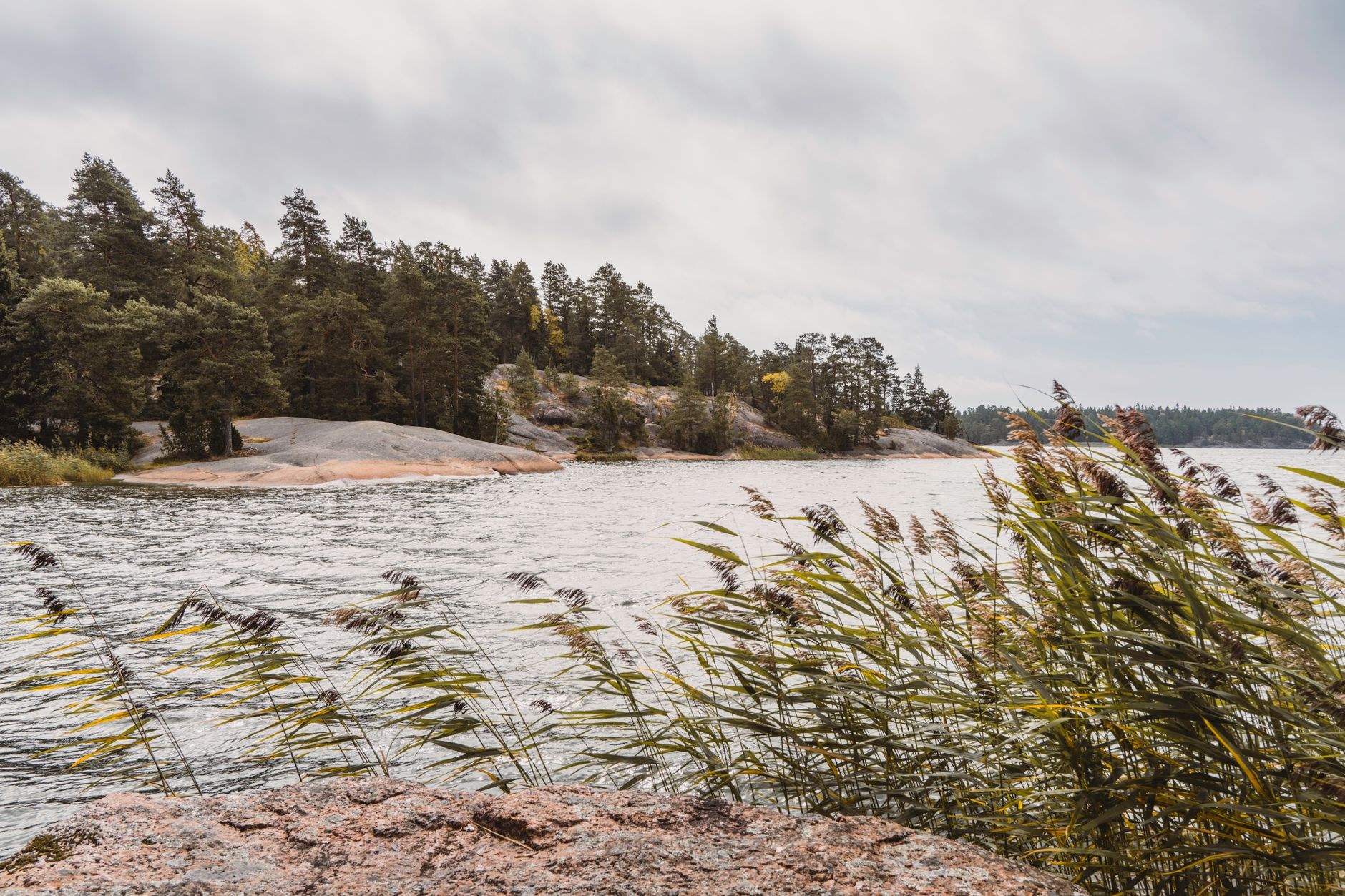 Narrow glacial esker ridge lined with towering pine trees winding between two blue lakes at Punkaharju