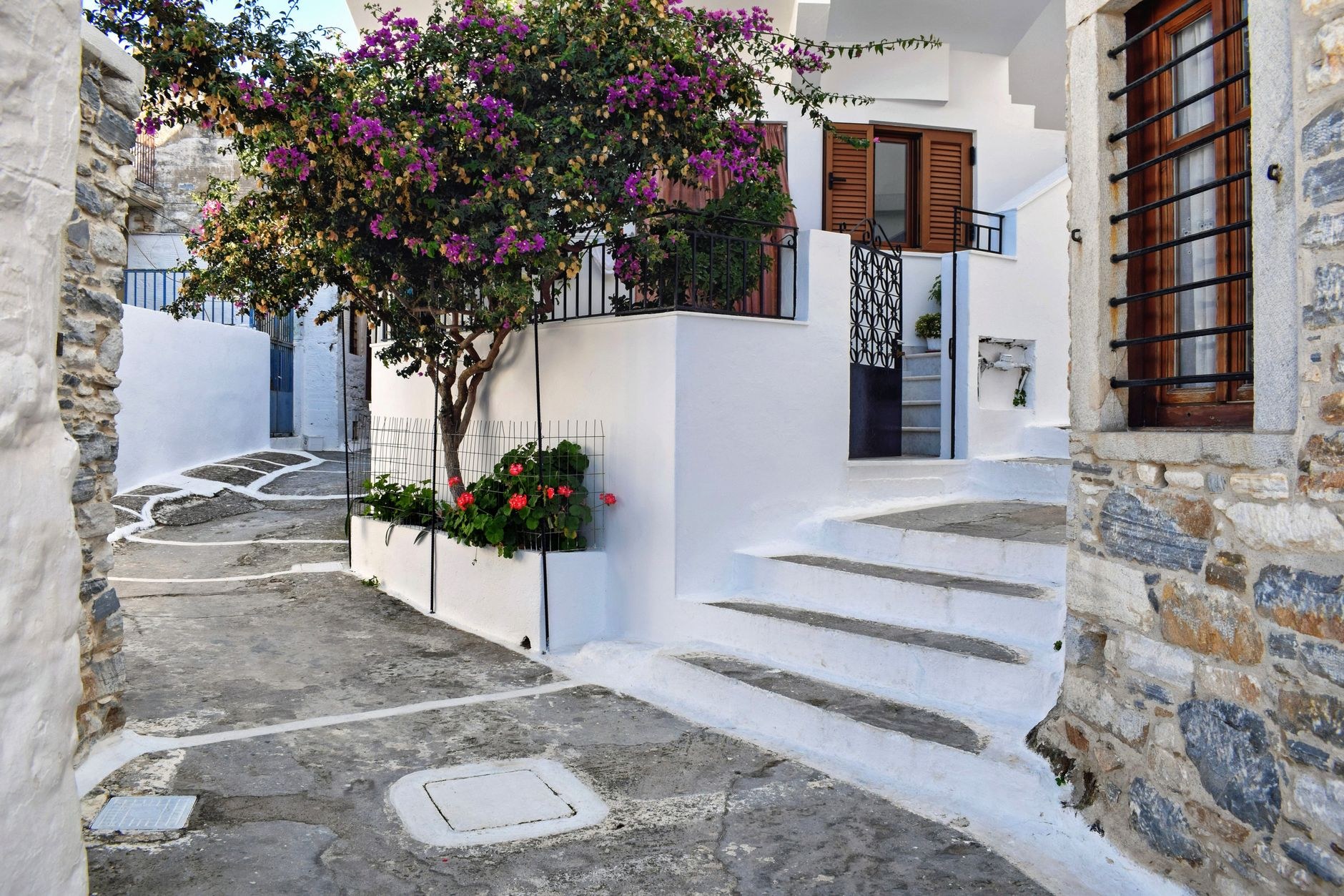 Paved flagstone alleyway lined with whitewashed cubic houses and pink flowers