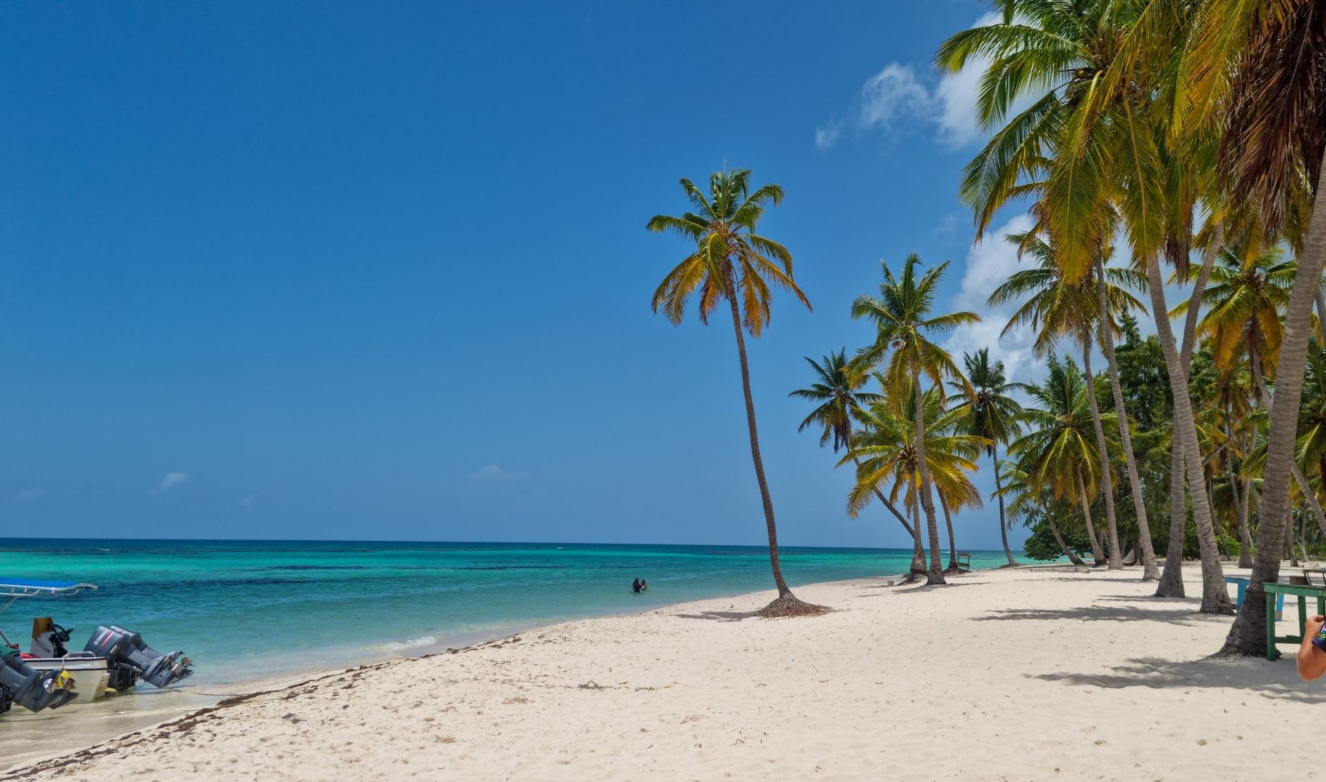 A wide stretch of powdery white sand and calm crystalline turquoise Caribbean water bordered by sea grape trees