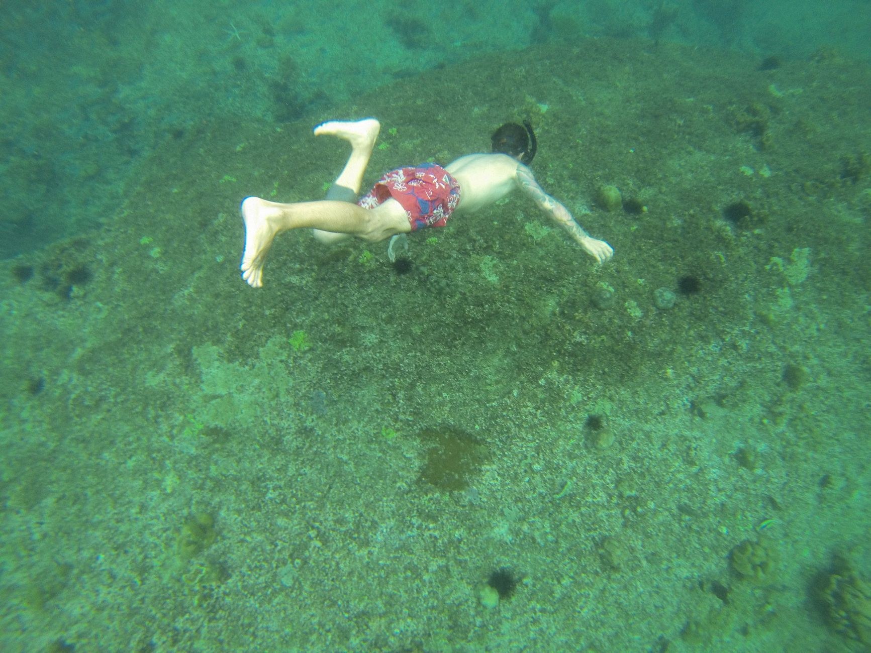 A circle of life-sized concrete human statues holding hands on the sandy sea floor encrusted with colorful coral polyps