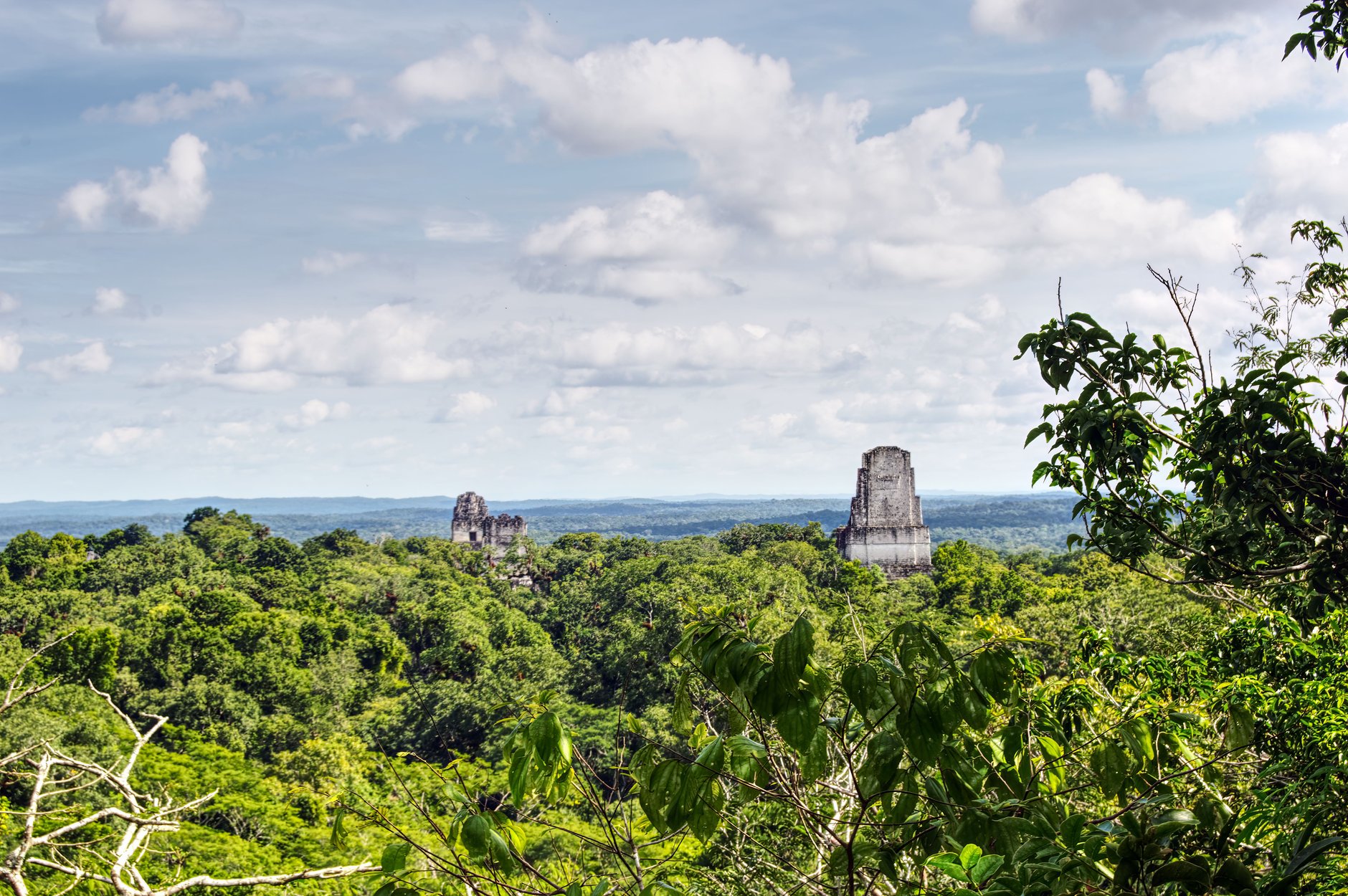 The limestone crest of an ancient Mayan pyramid protruding above an endless green tropical rainforest canopy in Tikal