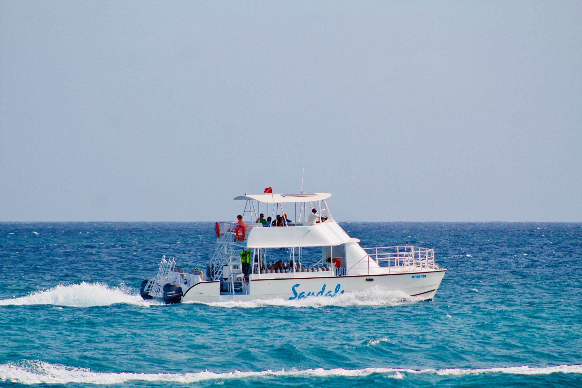 Large high-speed passenger catamaran ferry cutting through deep cobalt Caribbean waters with sea foam wake