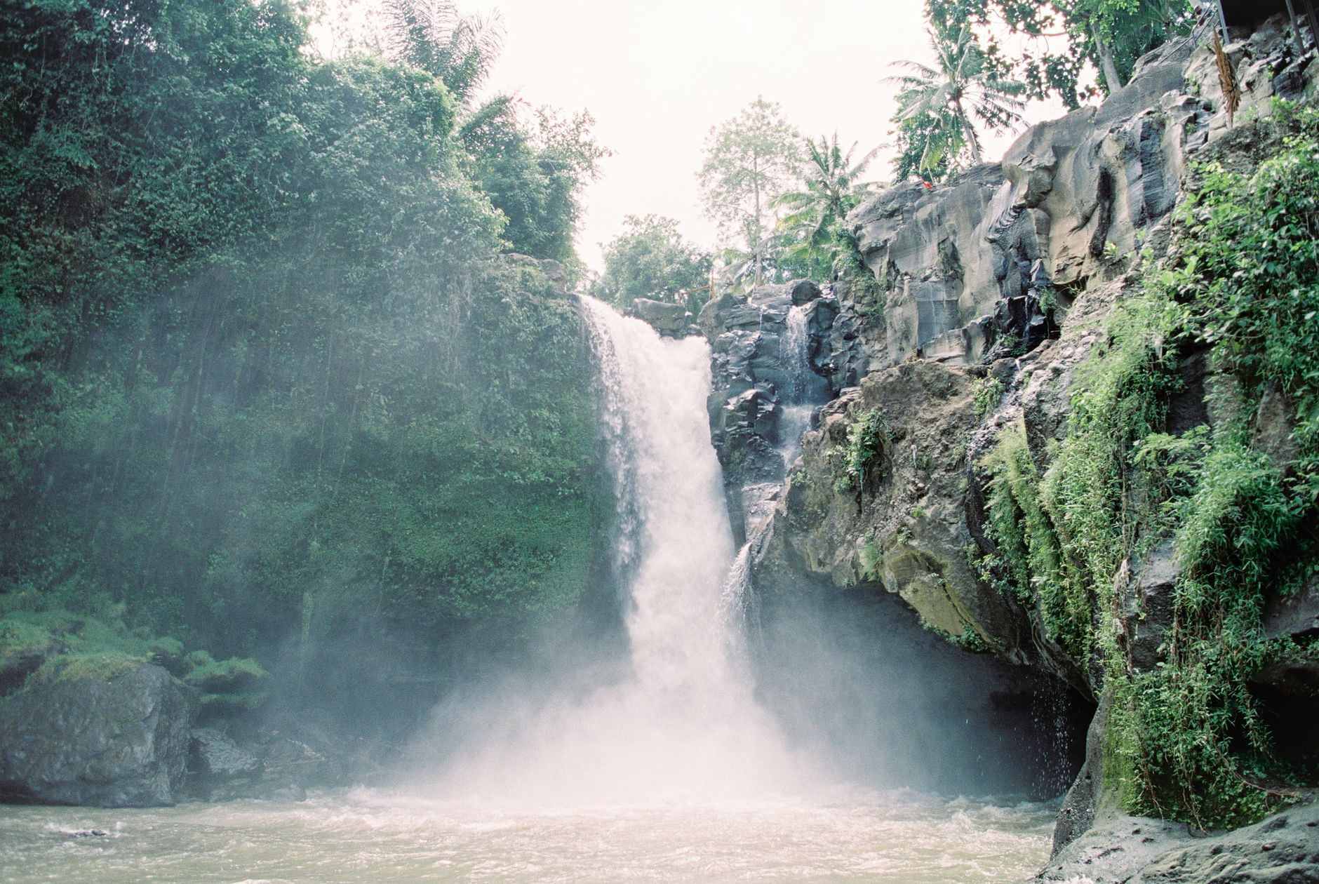 Lush tropical waterfall cascading through Indonesian rainforest