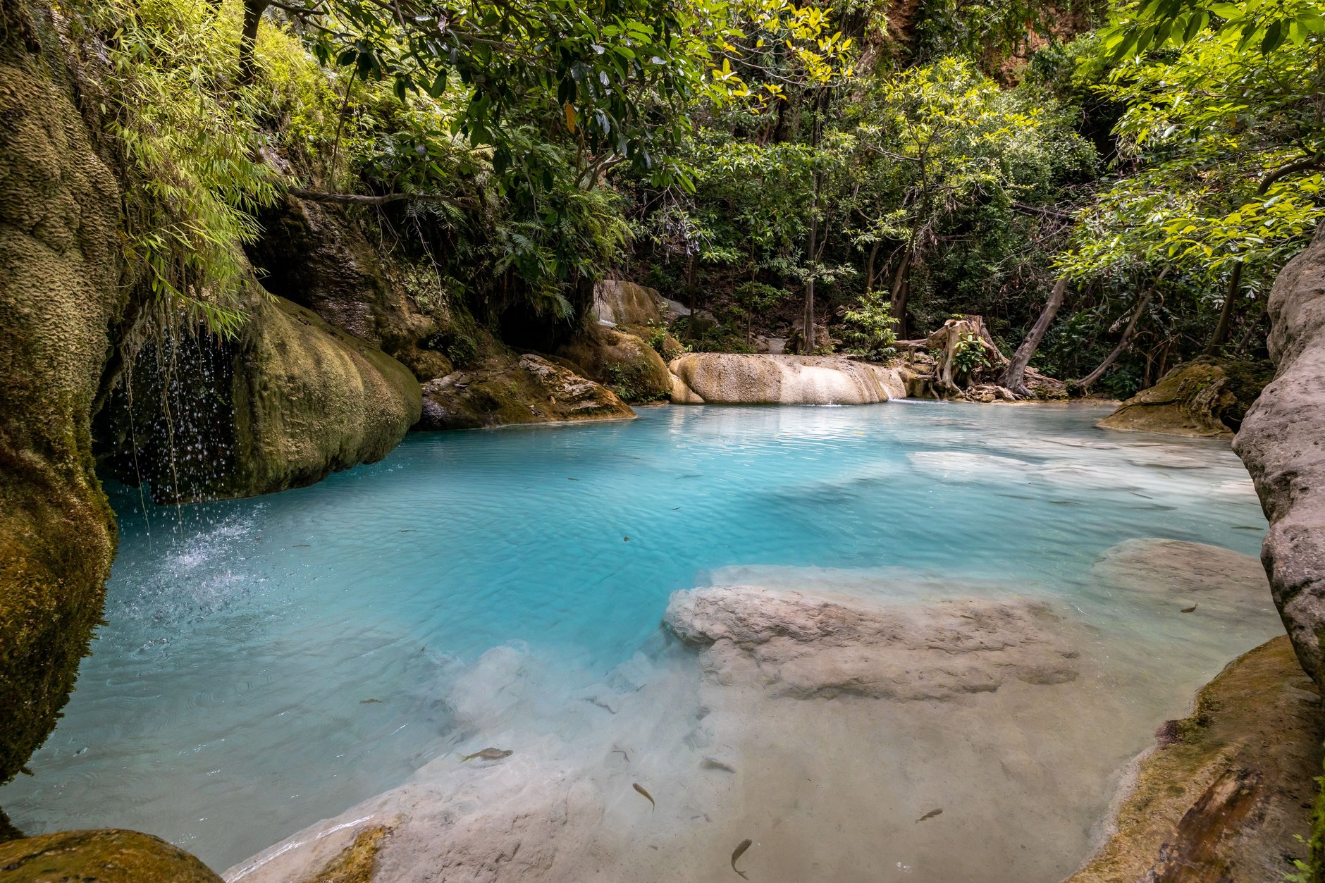 Deep cobalt and turquoise mineral water inlet surrounded by dense tropical foliage at the Blue Lagoon near Port Antonio