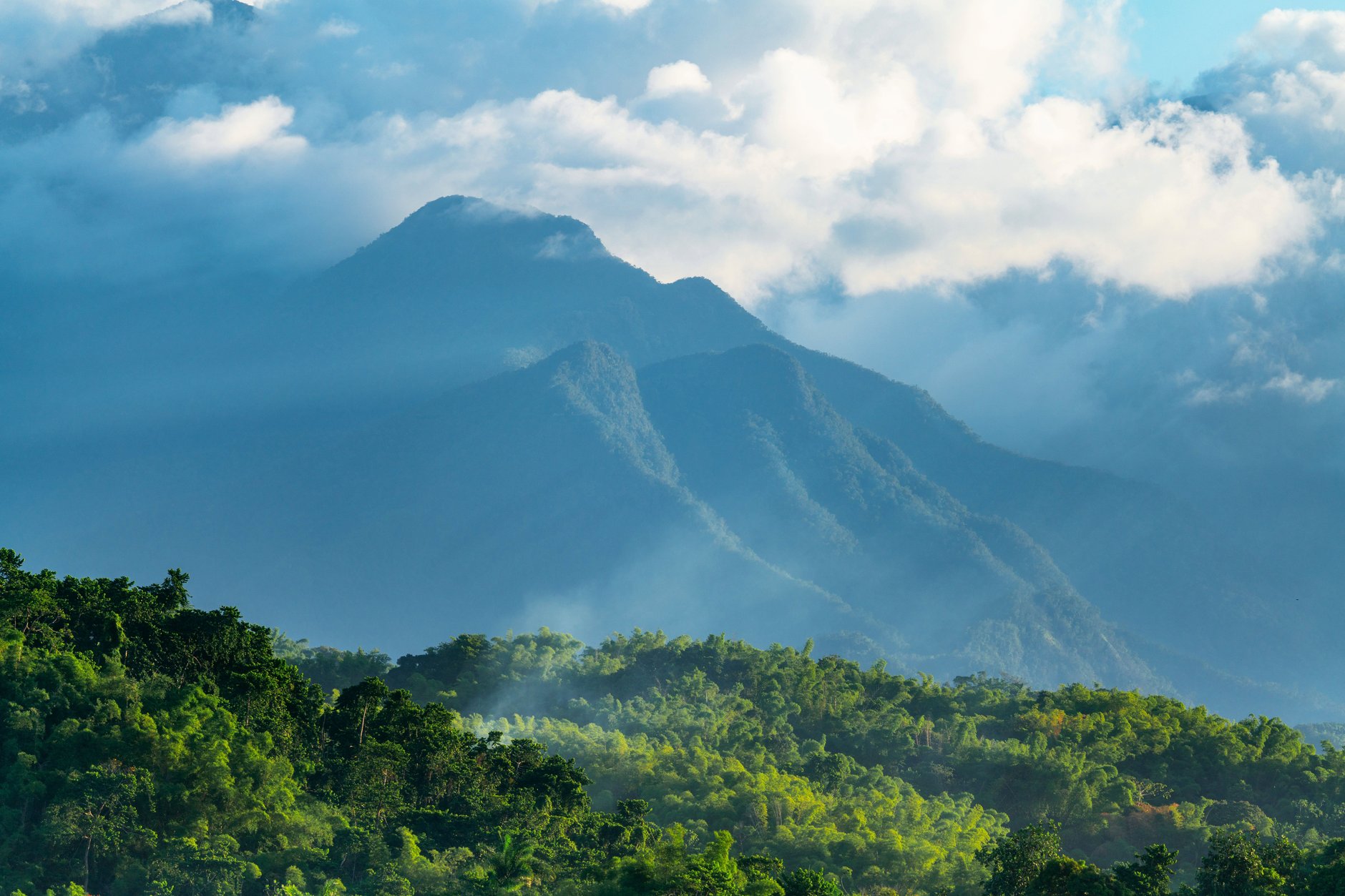 Morning mountain mist blanketing the steep emerald forested ridges and coffee slopes of the Blue Mountains in eastern Jamaica