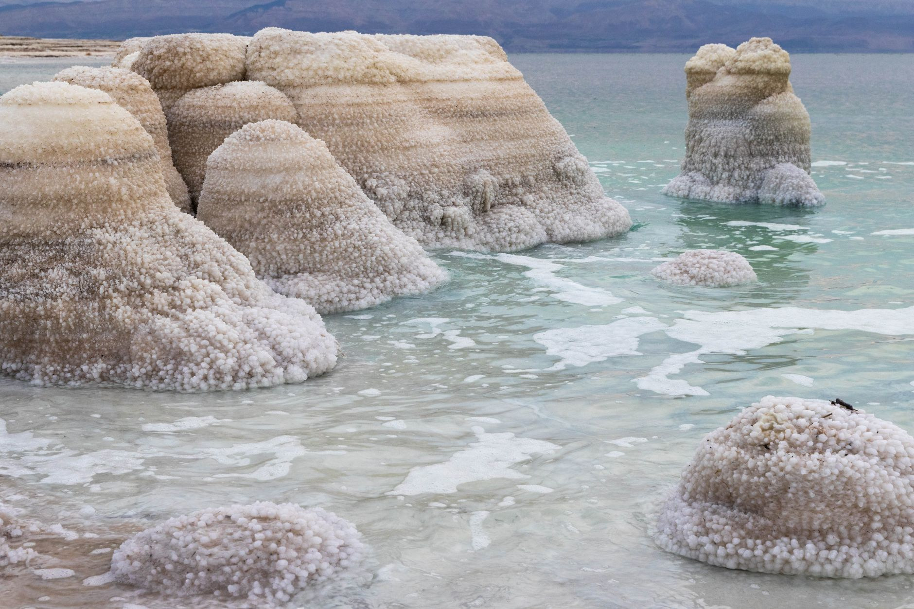 Geometric white salt crystals along the turquoise Dead Sea shore